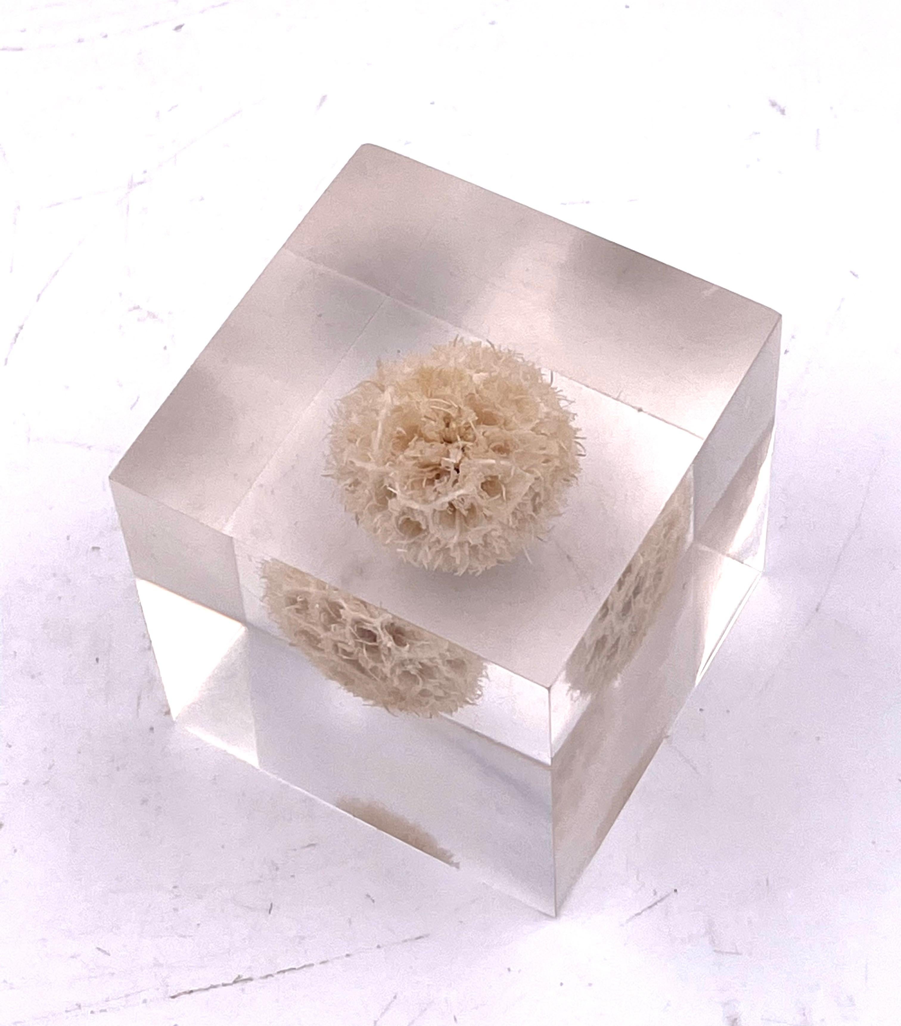 Solid Lucite Cube Flower Paperweight 1