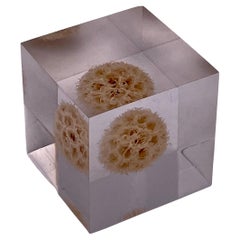 Vintage Solid Lucite Cube Flower Paperweight