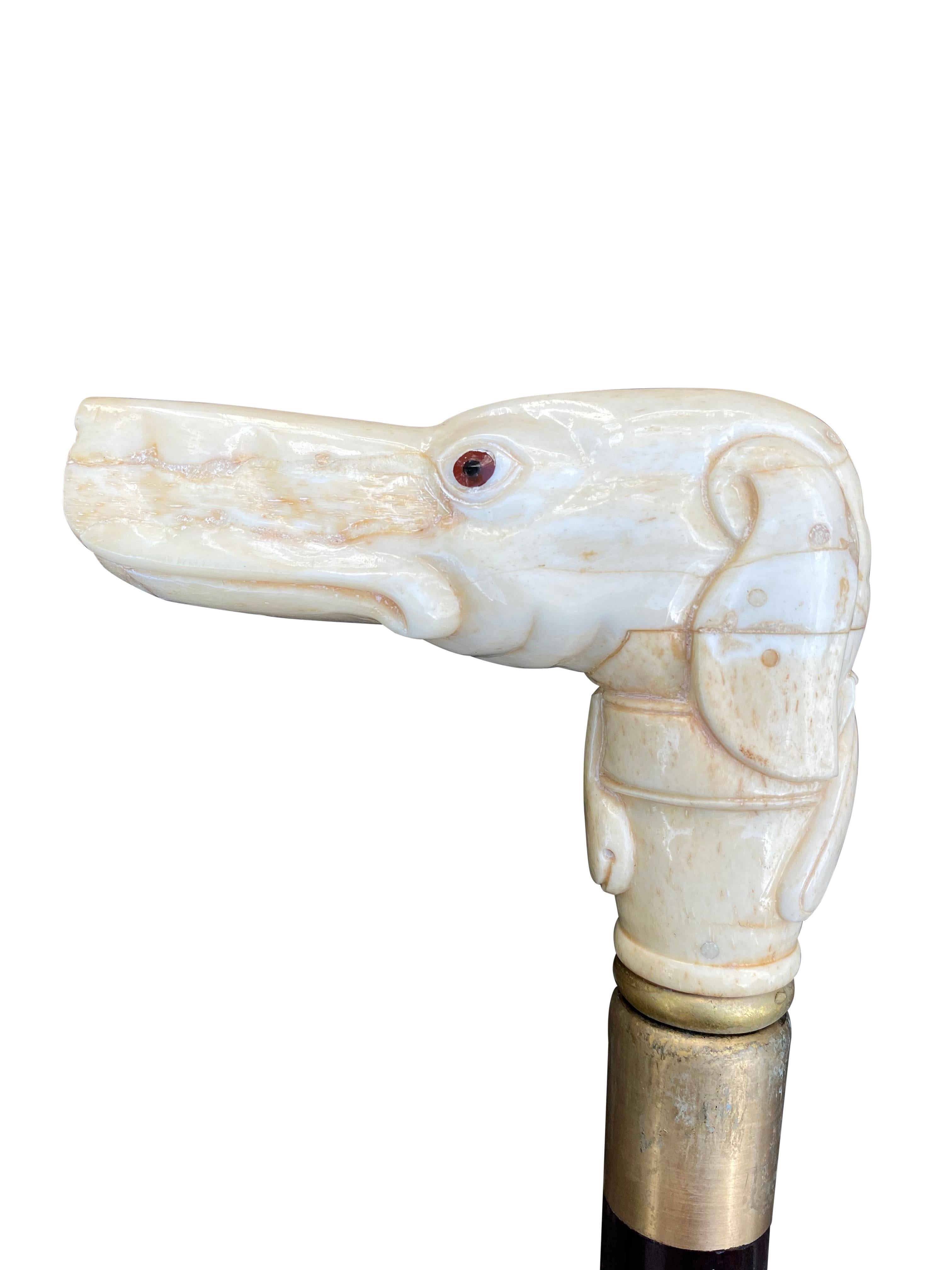 European Solid Mahogany and Carved Bone Walking Stick with Canine Head, 20th Century For Sale