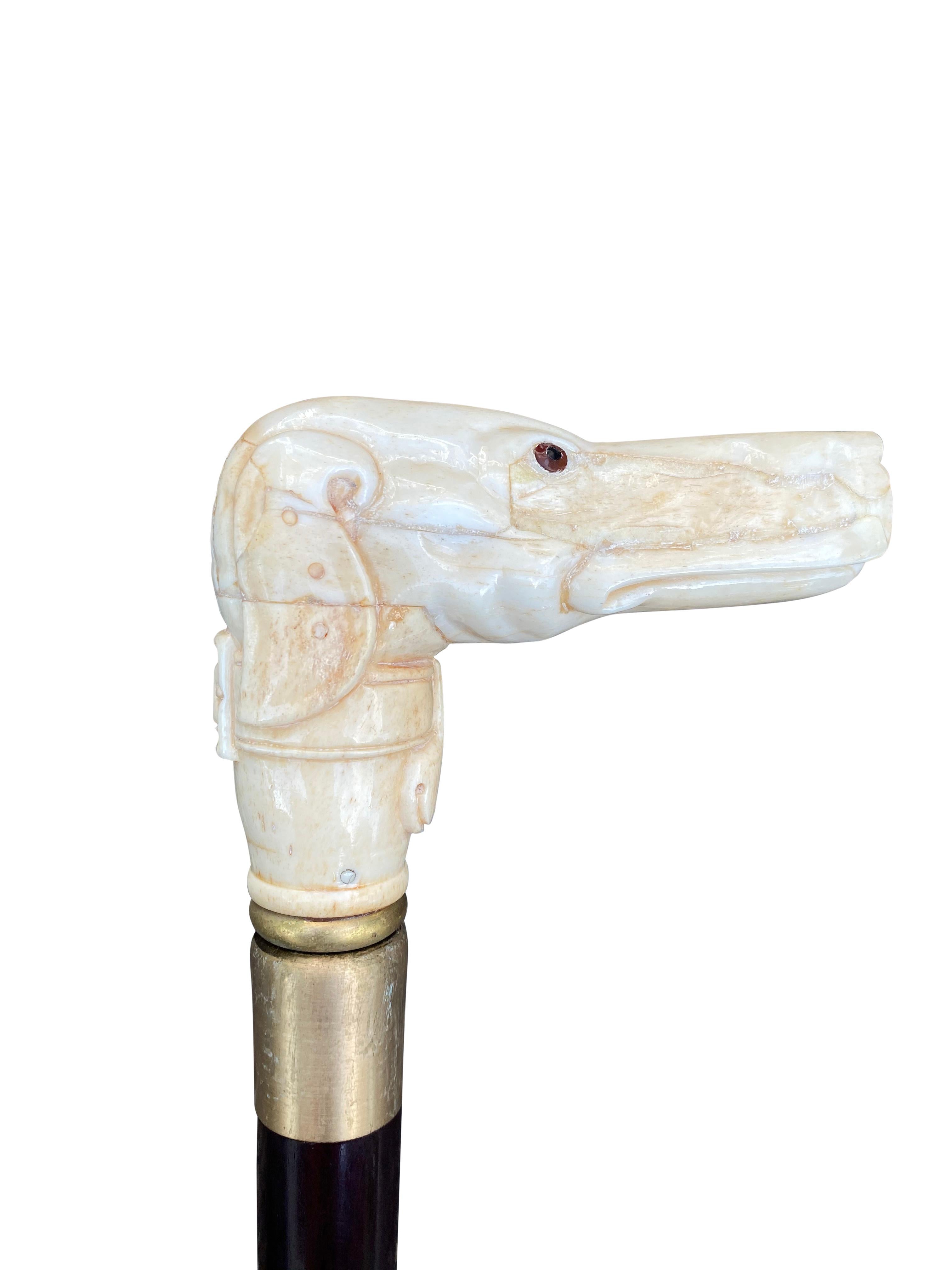 Solid Mahogany and Carved Bone Walking Stick with Canine Head, 20th Century In Good Condition For Sale In London, GB