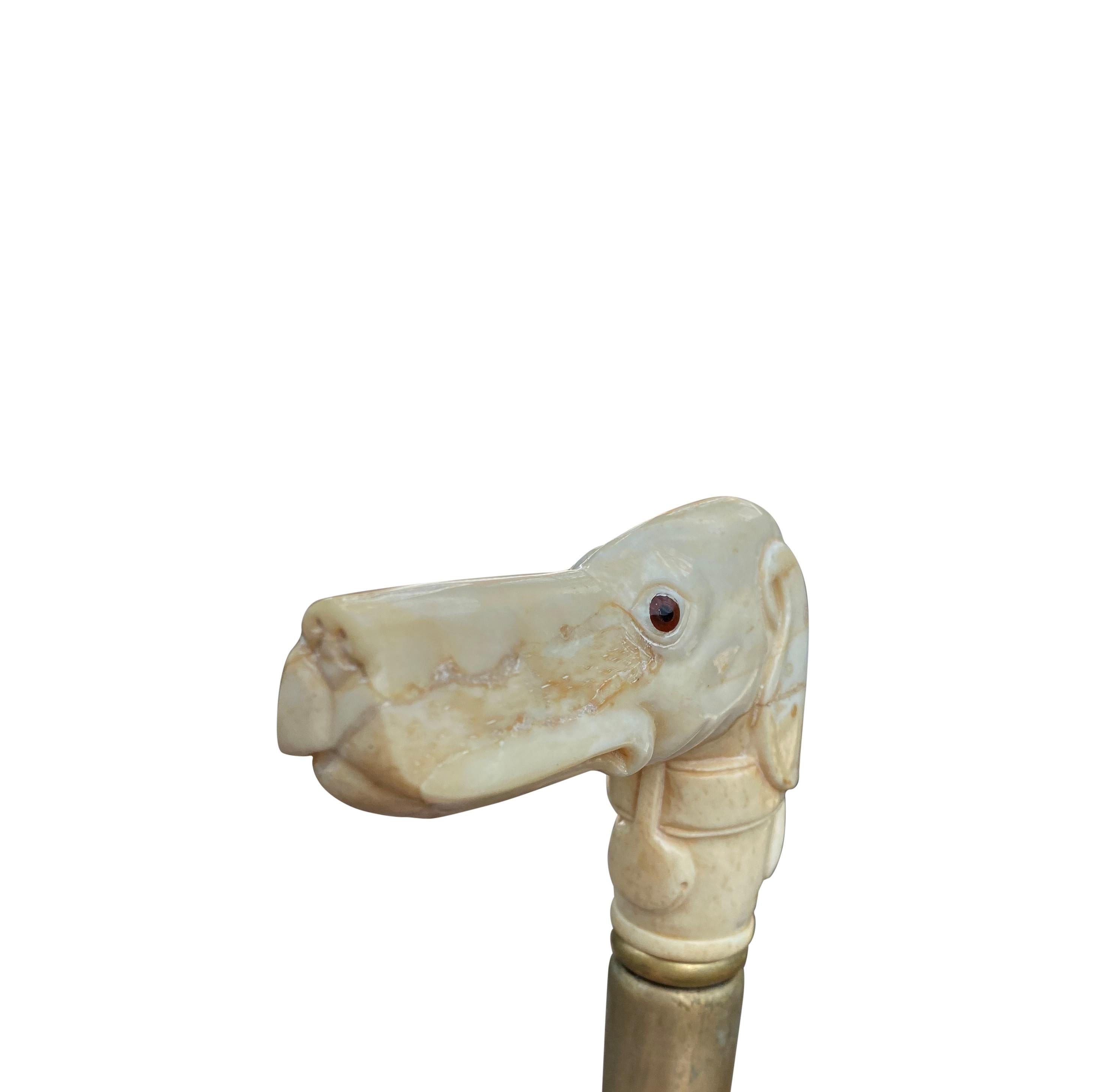 Solid Mahogany and Carved Bone Walking Stick with Canine Head, 20th Century For Sale 1