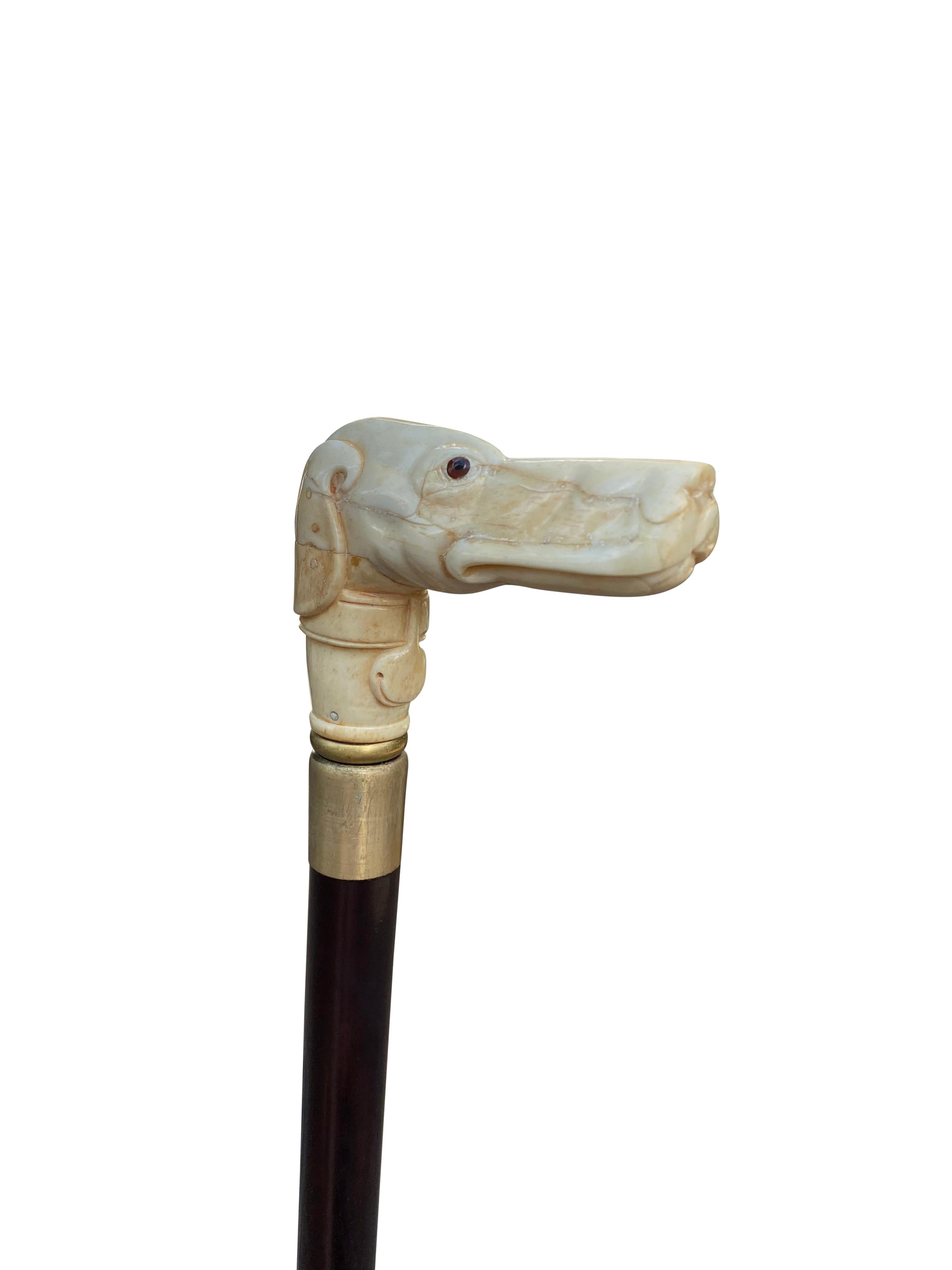 Solid Mahogany and Carved Bone Walking Stick with Canine Head, 20th Century For Sale 2