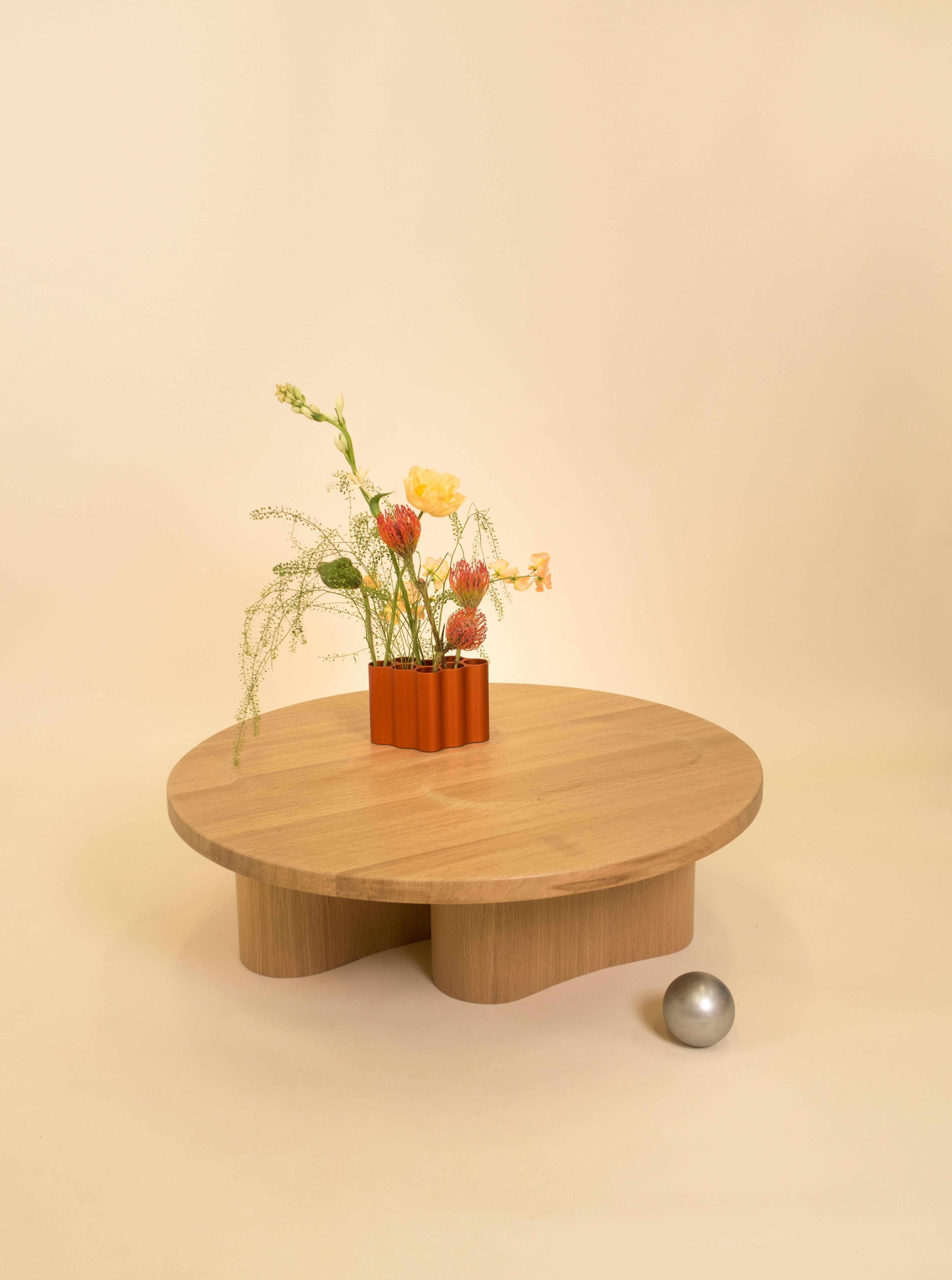 Modern Solid Oak and Veneer Coffee Table by Helder Barbosa For Sale