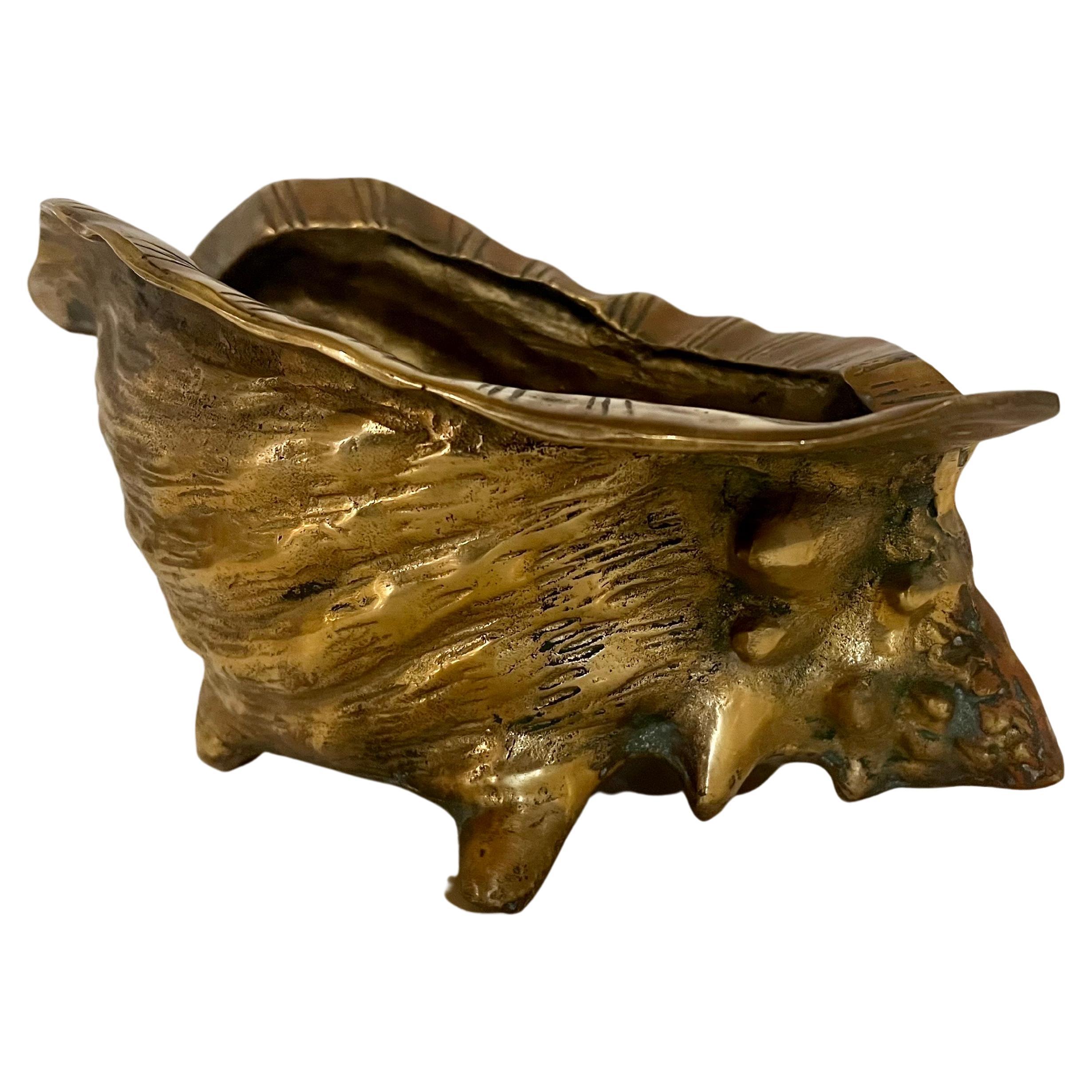 brass conch shell
