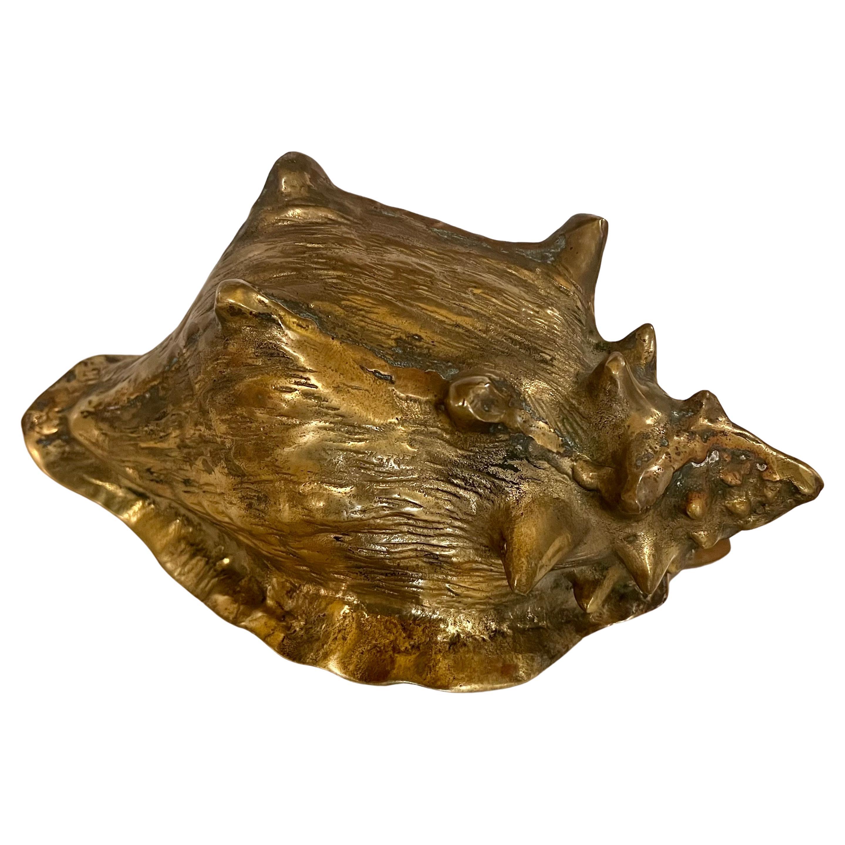 Solid Patinated Brass Seashell Conch Catch It All / Planter For Sale