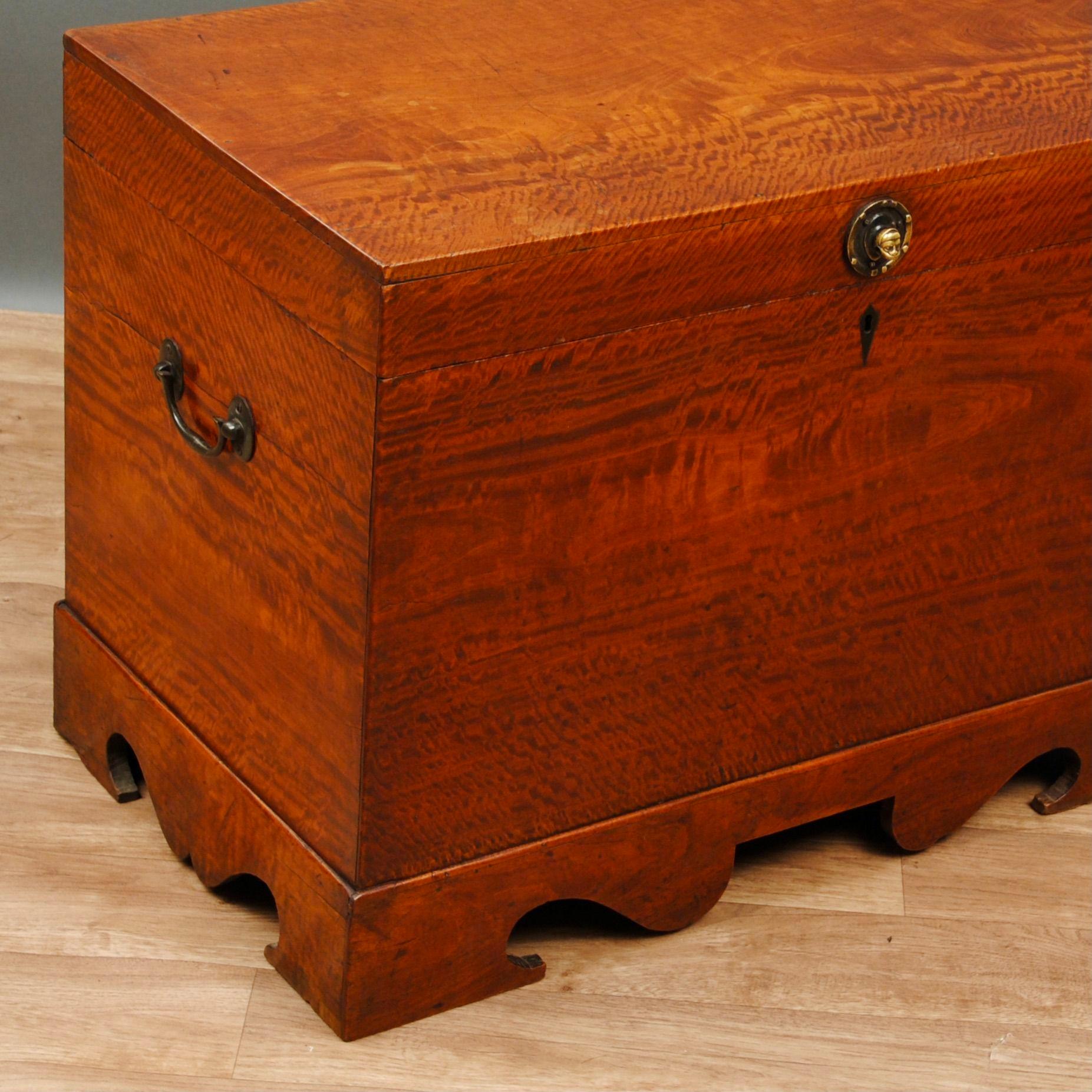 Anglo-Indian Solid Satinwood Colonial Trunk For Sale