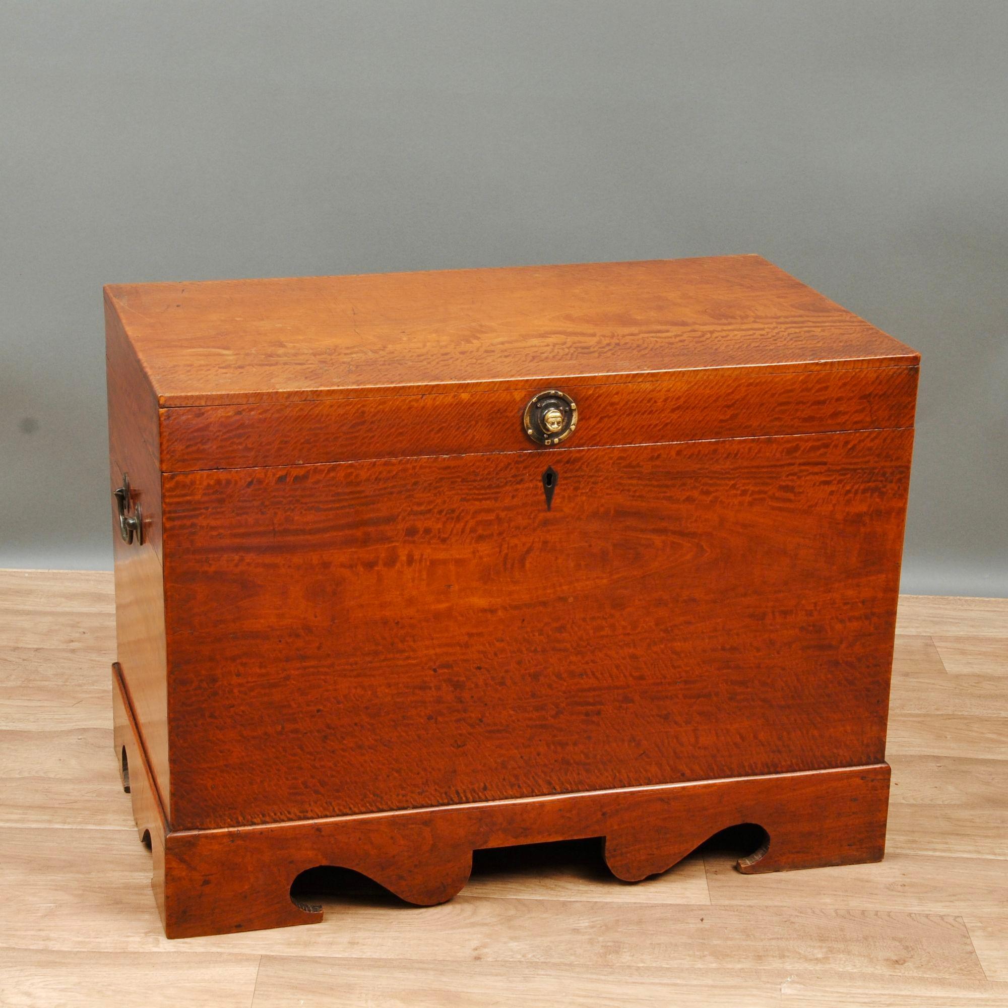 Indian Solid Satinwood Colonial Trunk For Sale