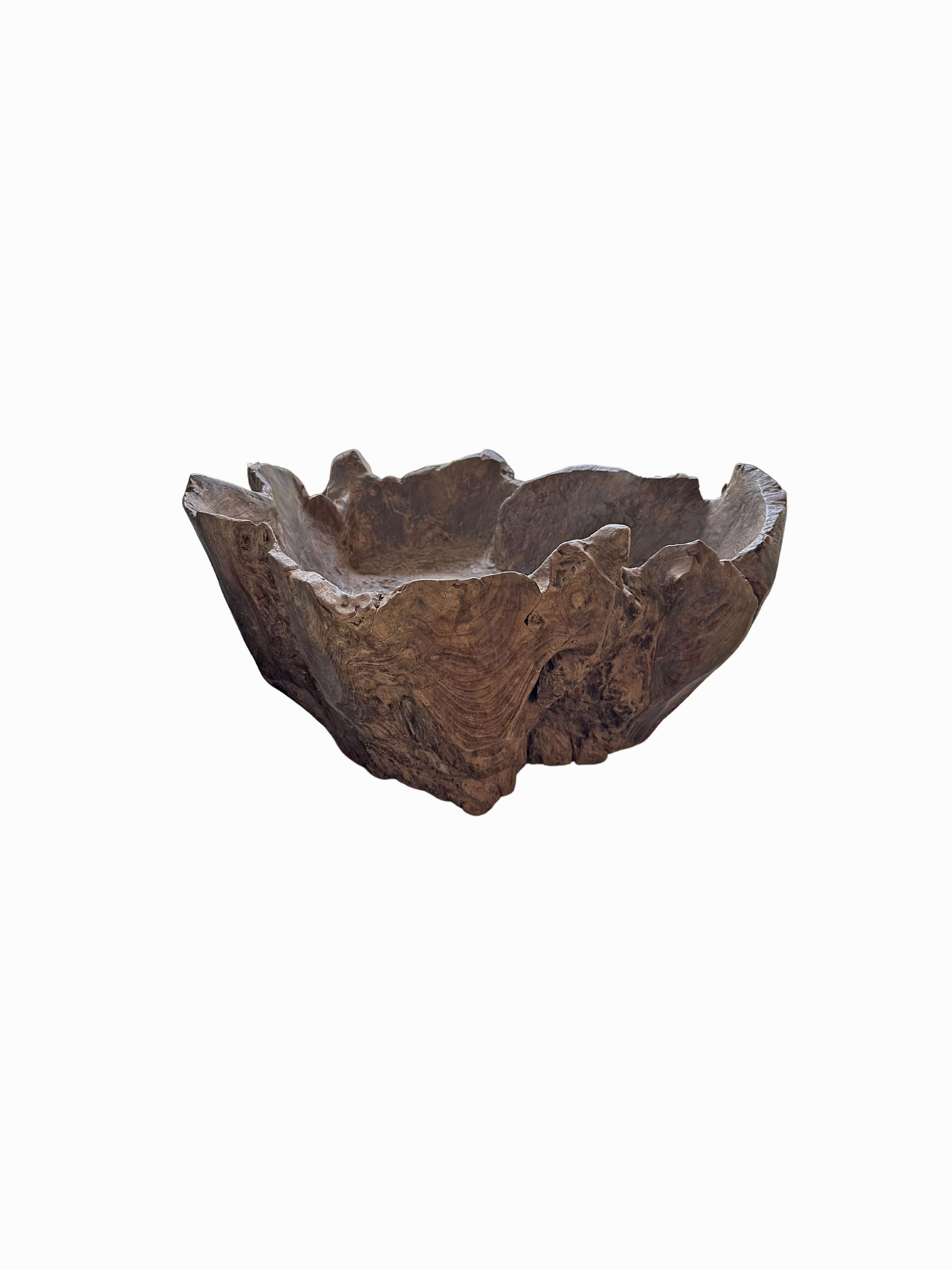 Solid Sculptural Teak Wood Bowl with abstract form, Modern Organic For Sale 1