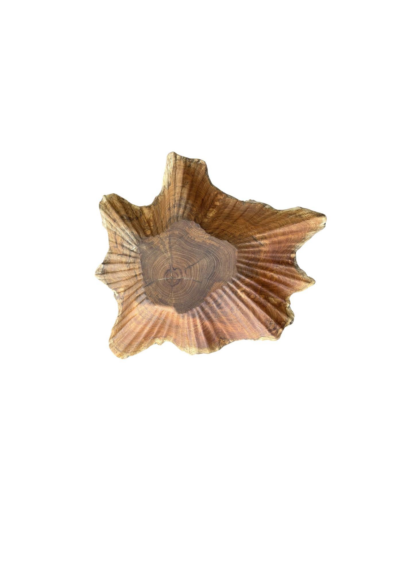 Lotusblattschale aus massivem, skulpturalem Teakholz, handgeschnitzt, modern, organisch (Holz) im Angebot