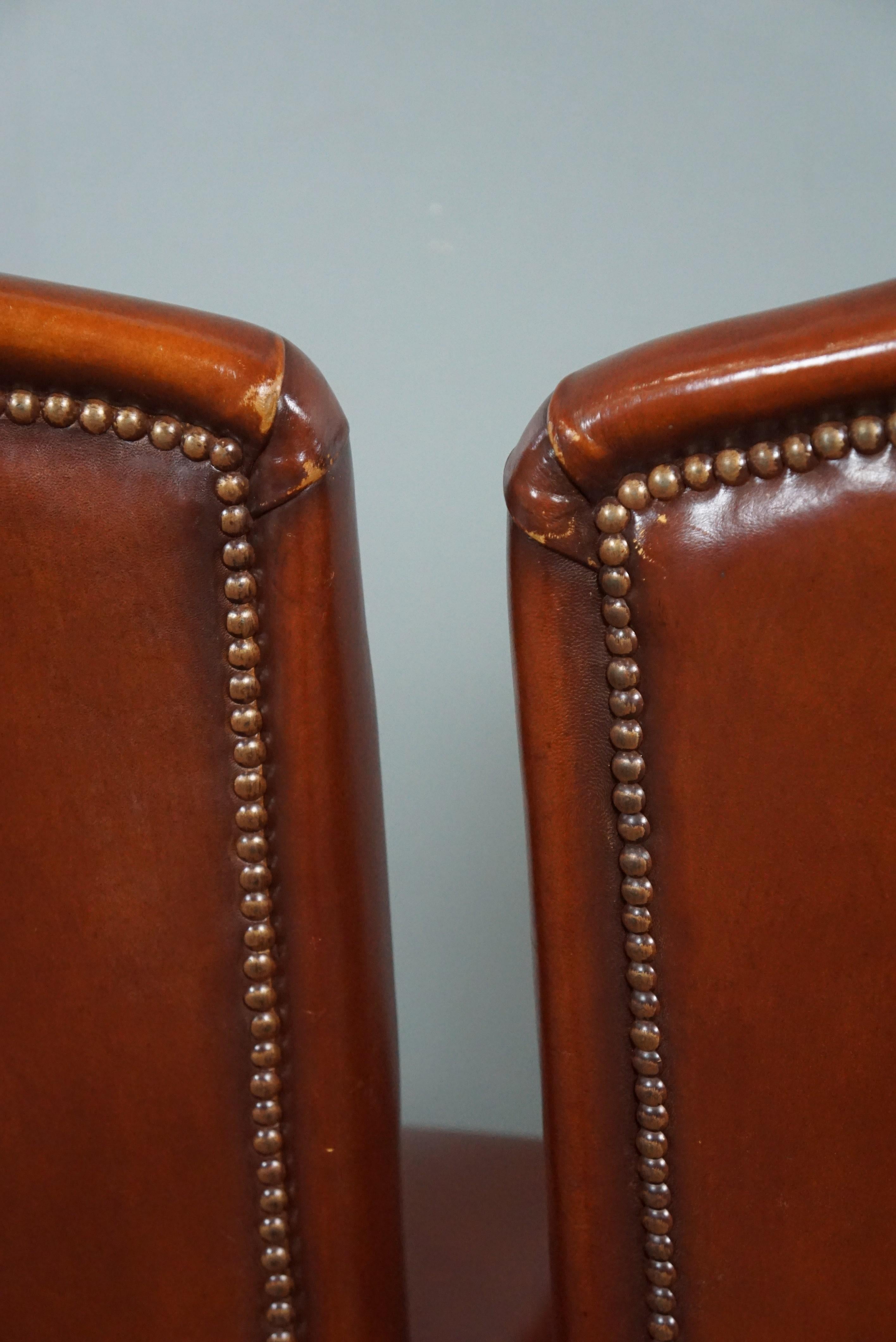 Solid set of 4 sheep leather dining room chairs For Sale 5
