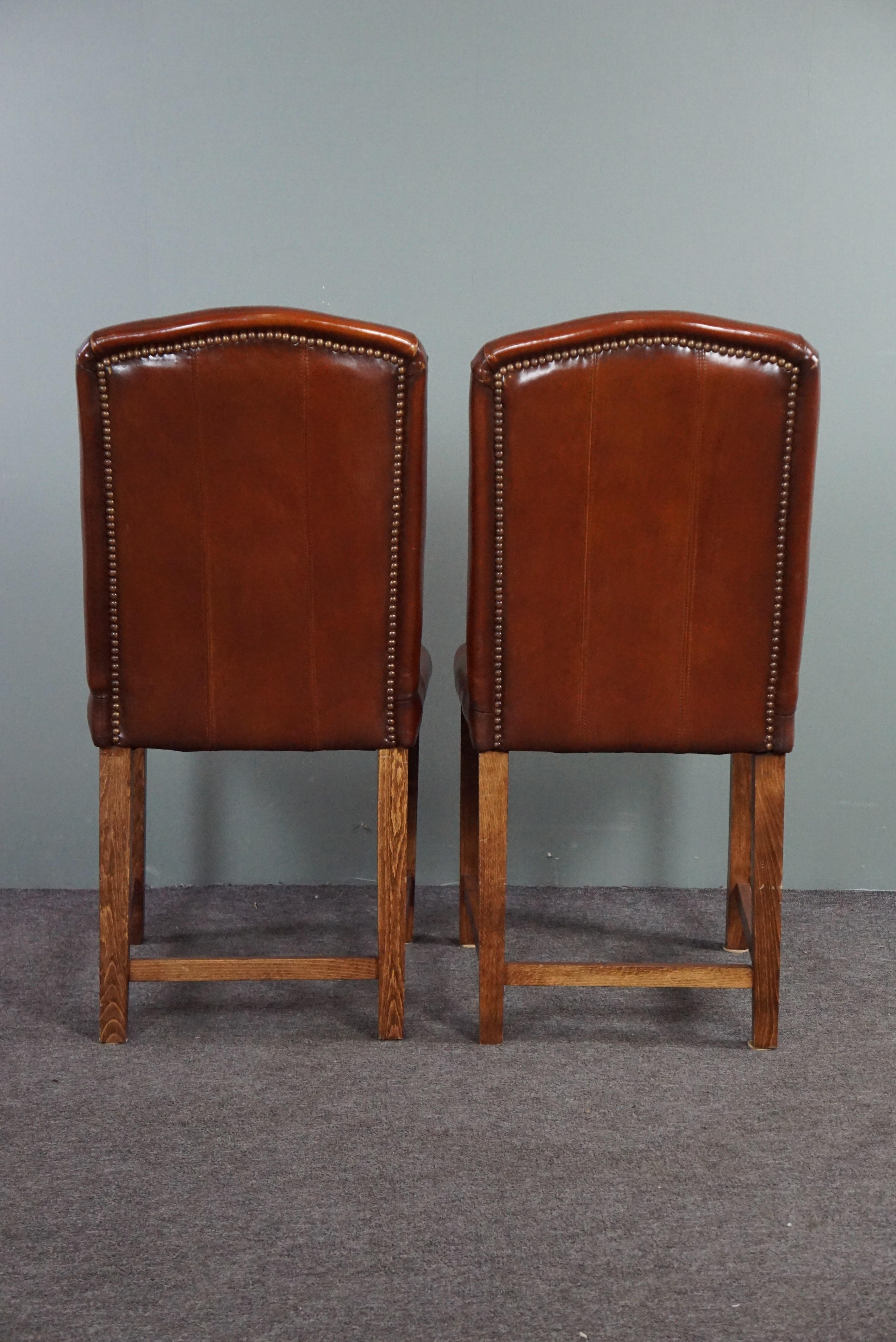 Solid set of 4 sheep leather dining room chairs In Good Condition For Sale In Harderwijk, NL