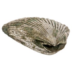 Solid Silver Bronze Clamshell, Italy, 1960's