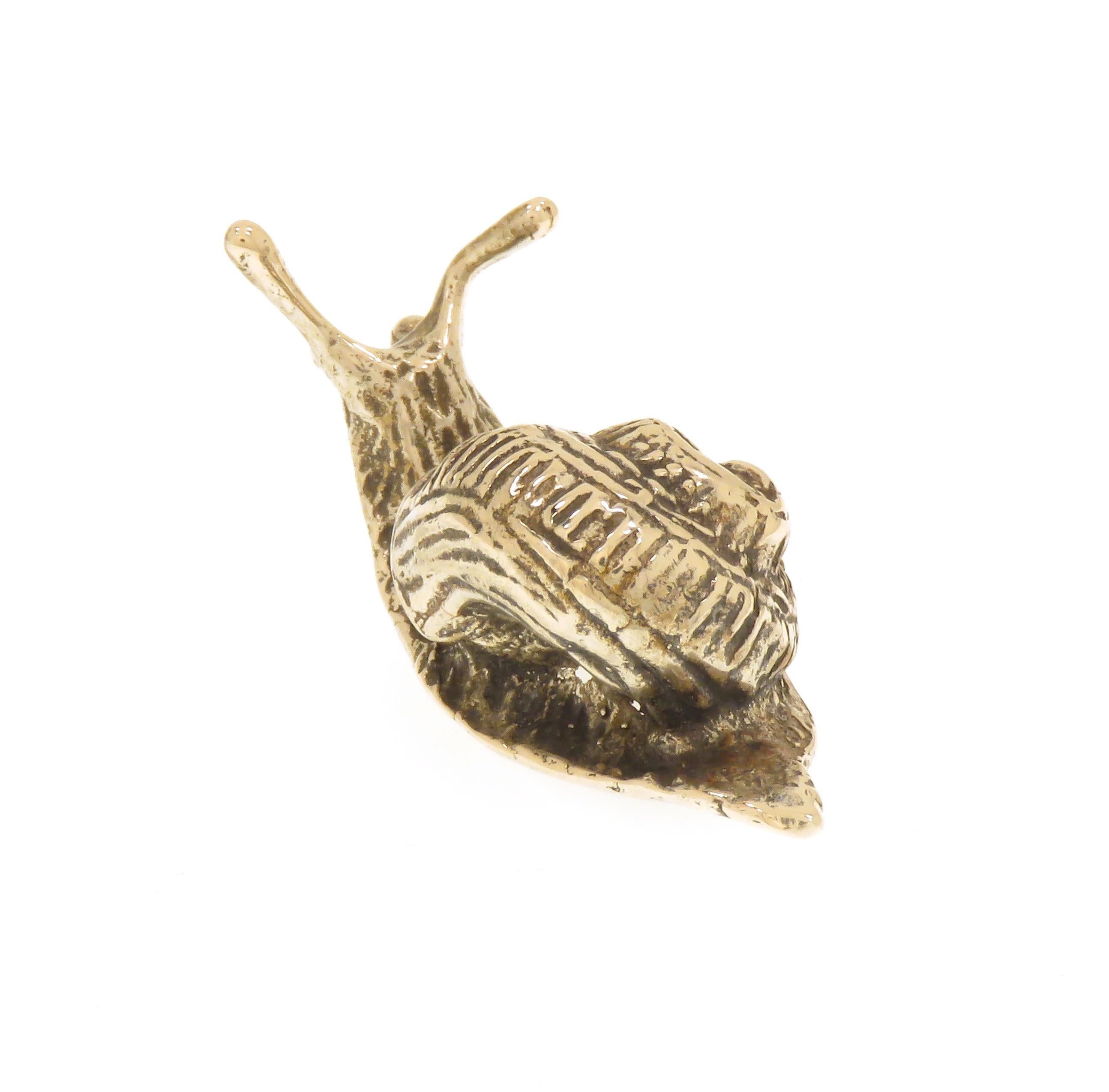 buff italian snail