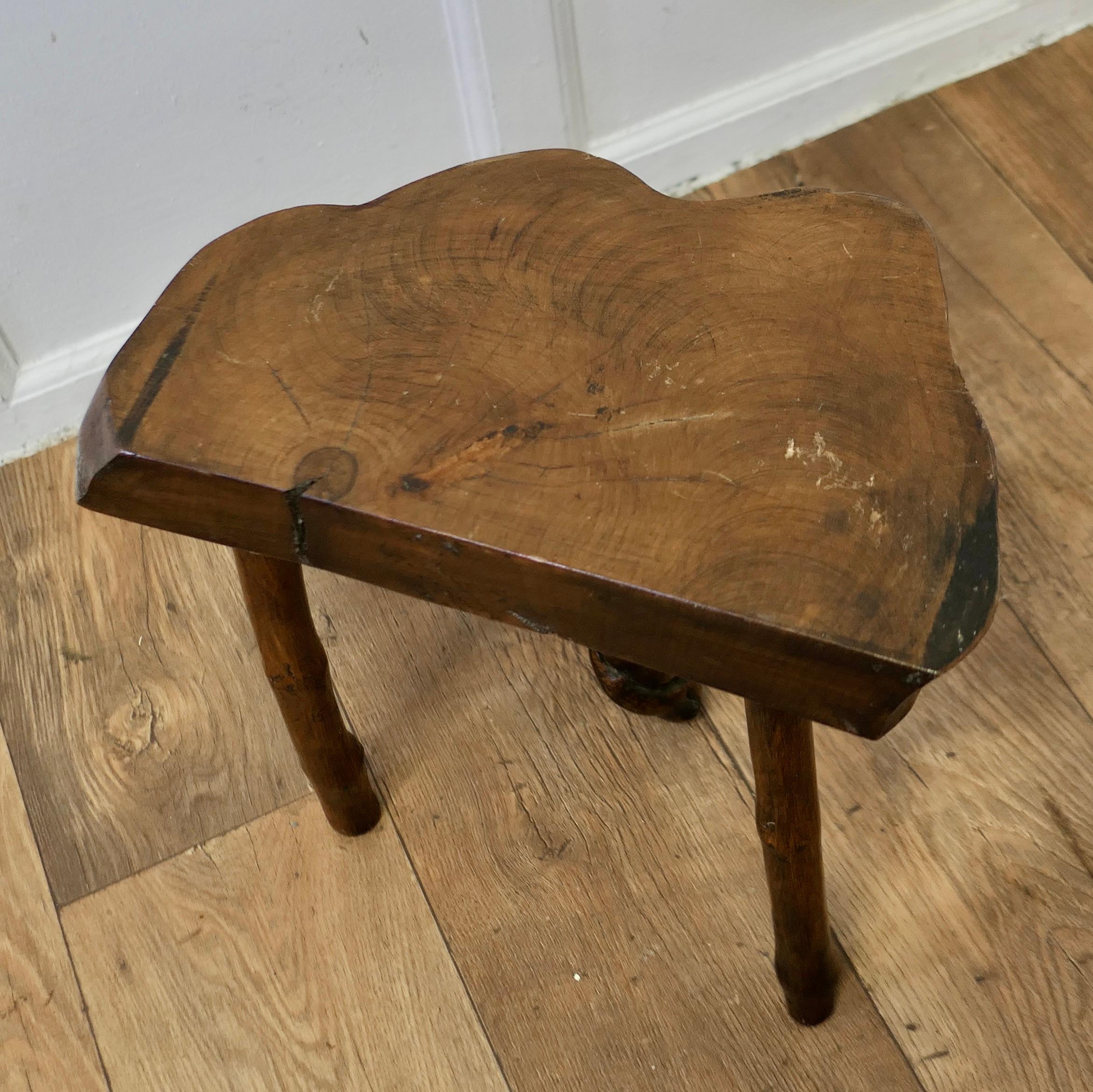 Solid Slice of Live Edge Elm Rustic Stool    For Sale 3