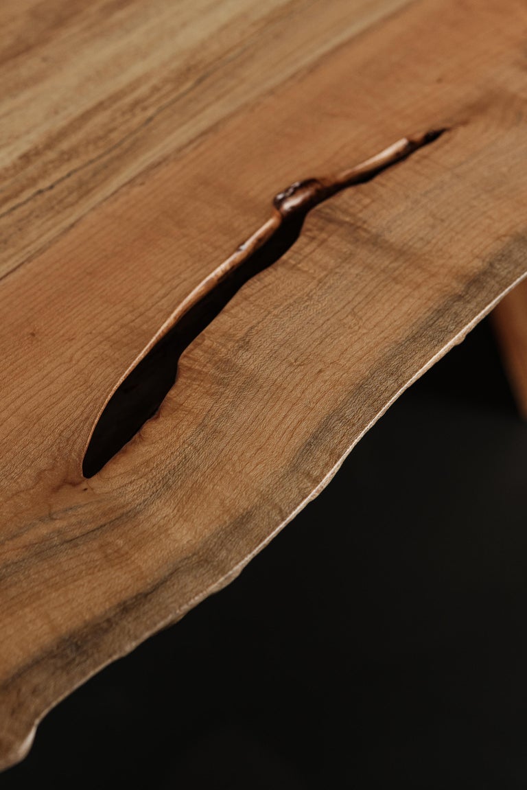 In Stock Solid Spalted Maple Dining Table 12 Ft Cove Base For