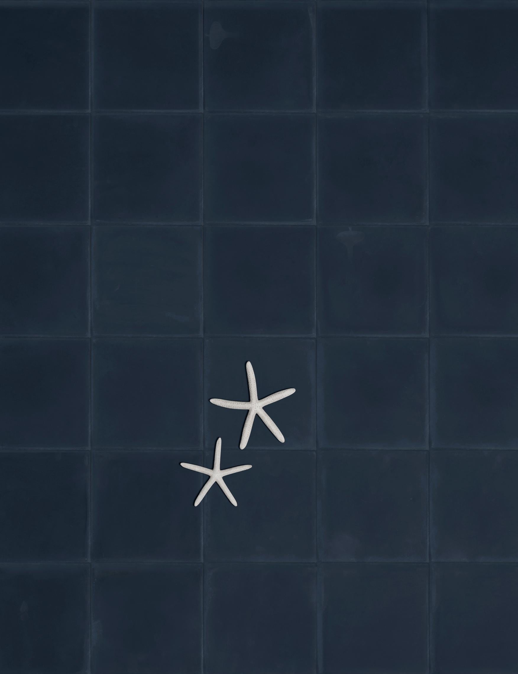 Diese einfarbigen quadratischen Fliesen, die in unserer gesamten Palette sowohl als Zement- als auch als Keramikfliesen erhältlich sind, können mit unseren gemusterten Fliesen koordiniert werden, um eine perfekt beruhigende Mischung zu