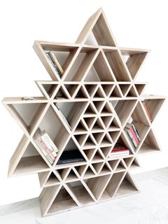 Geometric Fractal Bookshelf made of Solid Teakwood