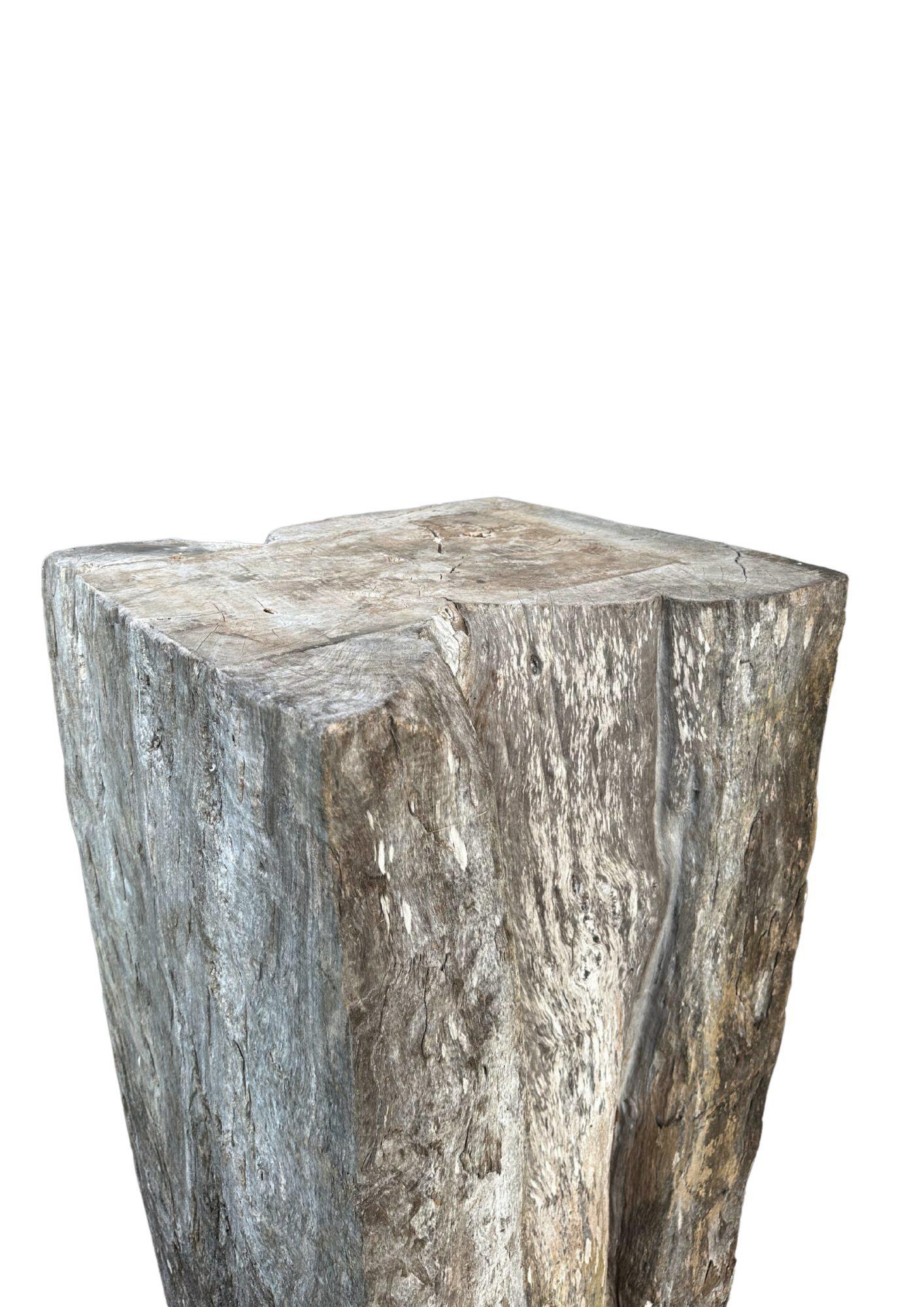 Pedestal de madera maciza de teca, maravillosa pátina relacionada con la edad, moderno orgánico en venta 1
