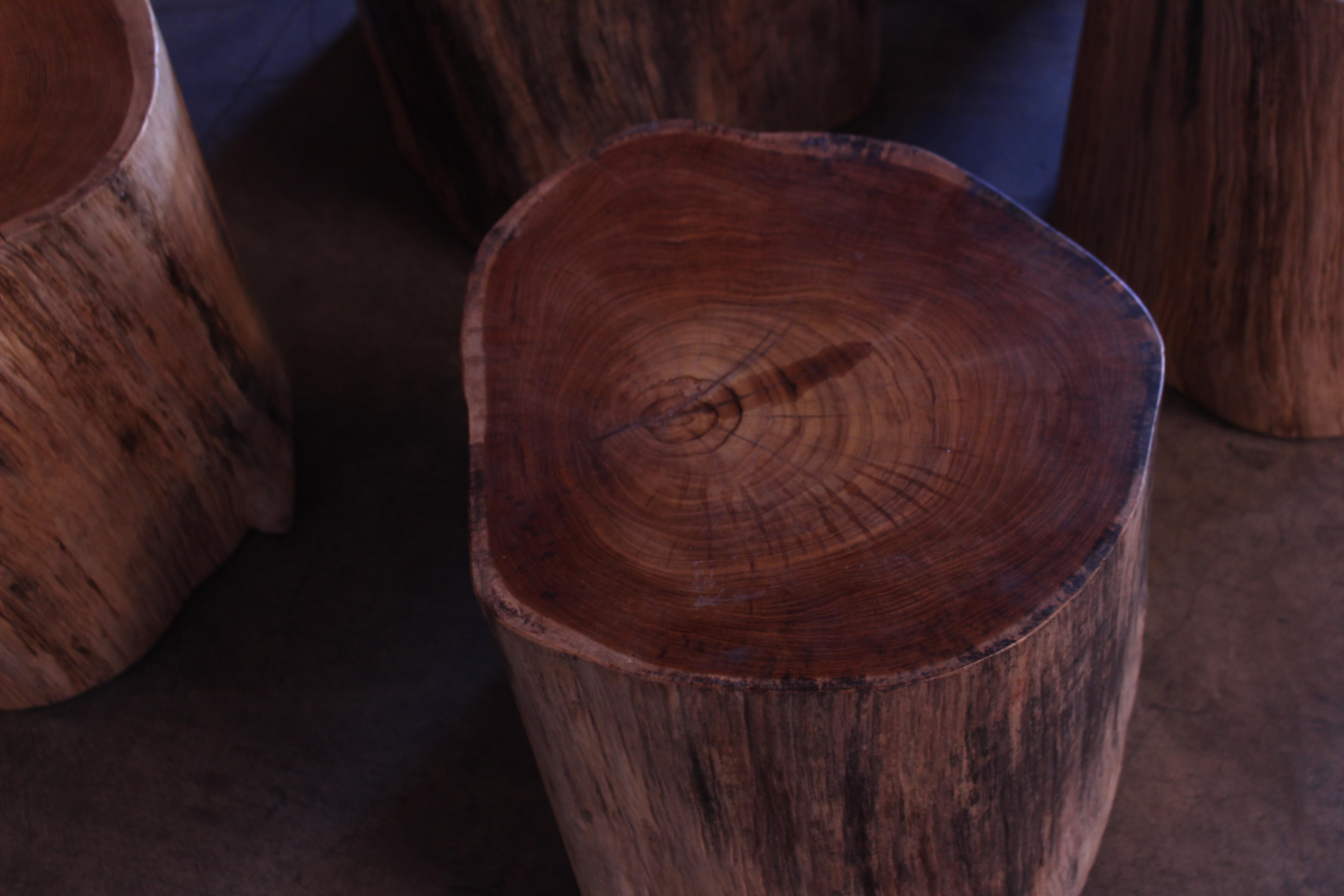 Solid Teak Wood Stump Side Tables. Two Avail, Sold Individually 7