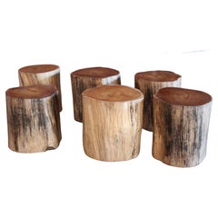Solid Teak Wood Stump Side Tables