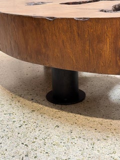 Solid Tree Trunk Coffee Table Made of a Thick Cross Section of Vinhatico Wood