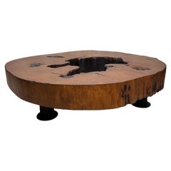 Solid Tree Trunk Coffee Table Made of a Thick Cross Section of Vinhatico Wood