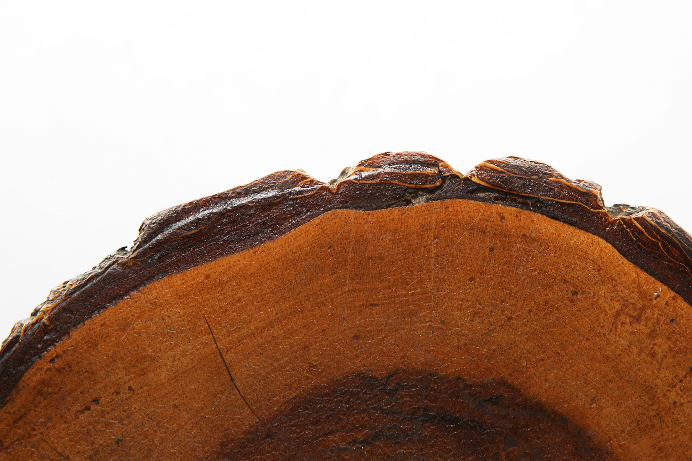 Mid-20th Century Solid tree trunk stool Ca.1940 For Sale