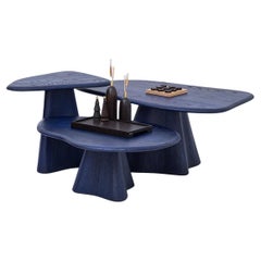 Solid Wood Coffee Table Set – LAGOON