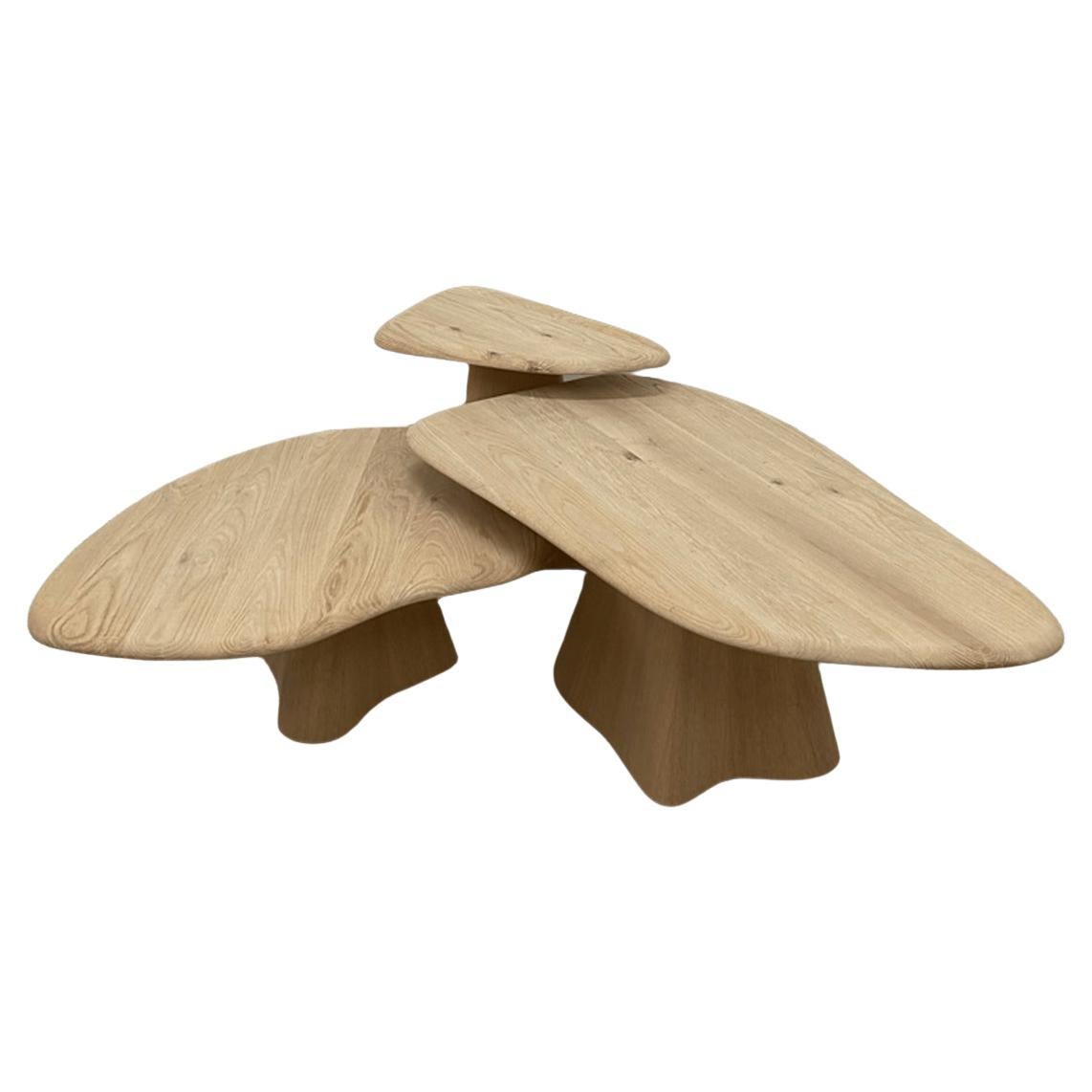 Solid Wood Coffee Table Set – LAGOON