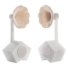 Solid Wood Horn Floor Standing High Fidelity Speaker Model FS-1 by A for Ara