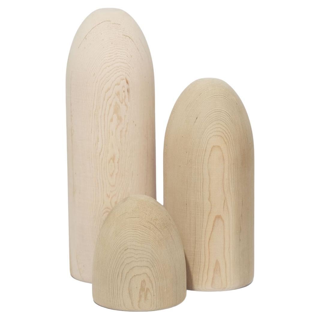 Solid Wood Paperweight Set – BULLET