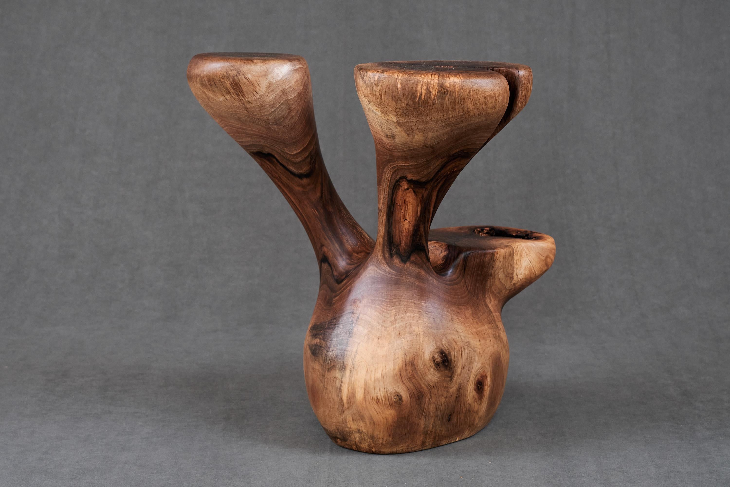 Solid Wood Sculptural Side Table, Original Contemporary Design, Logniture For Sale 7