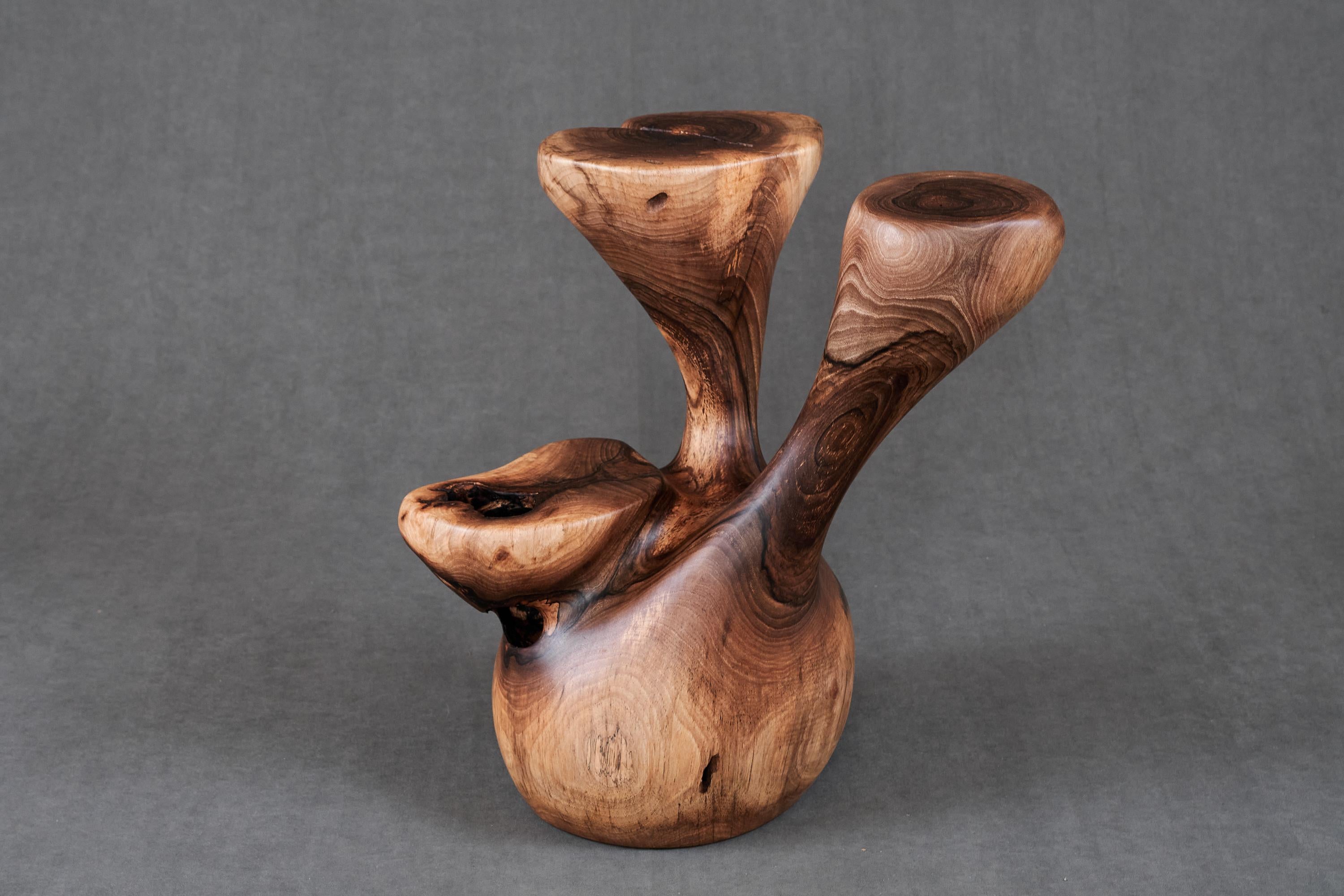Carved Solid Wood Sculptural Side Table, Original Contemporary Design, Logniture For Sale