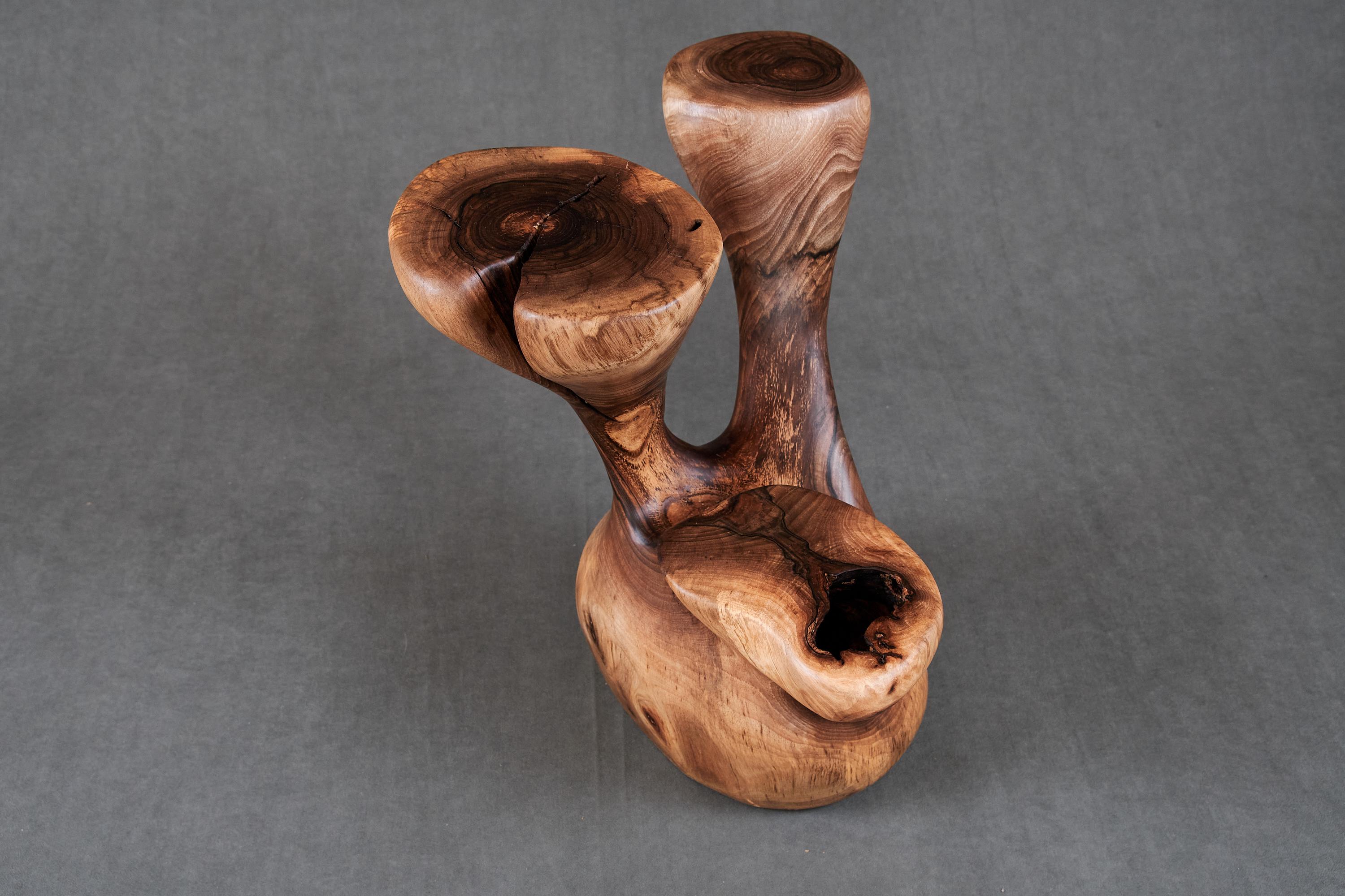 Solid Wood Sculptural Side Table, Original Contemporary Design, Logniture For Sale 3