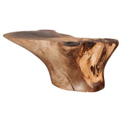 Table d'appoint sculpturale en bois massif, design contemporain original, Logniture