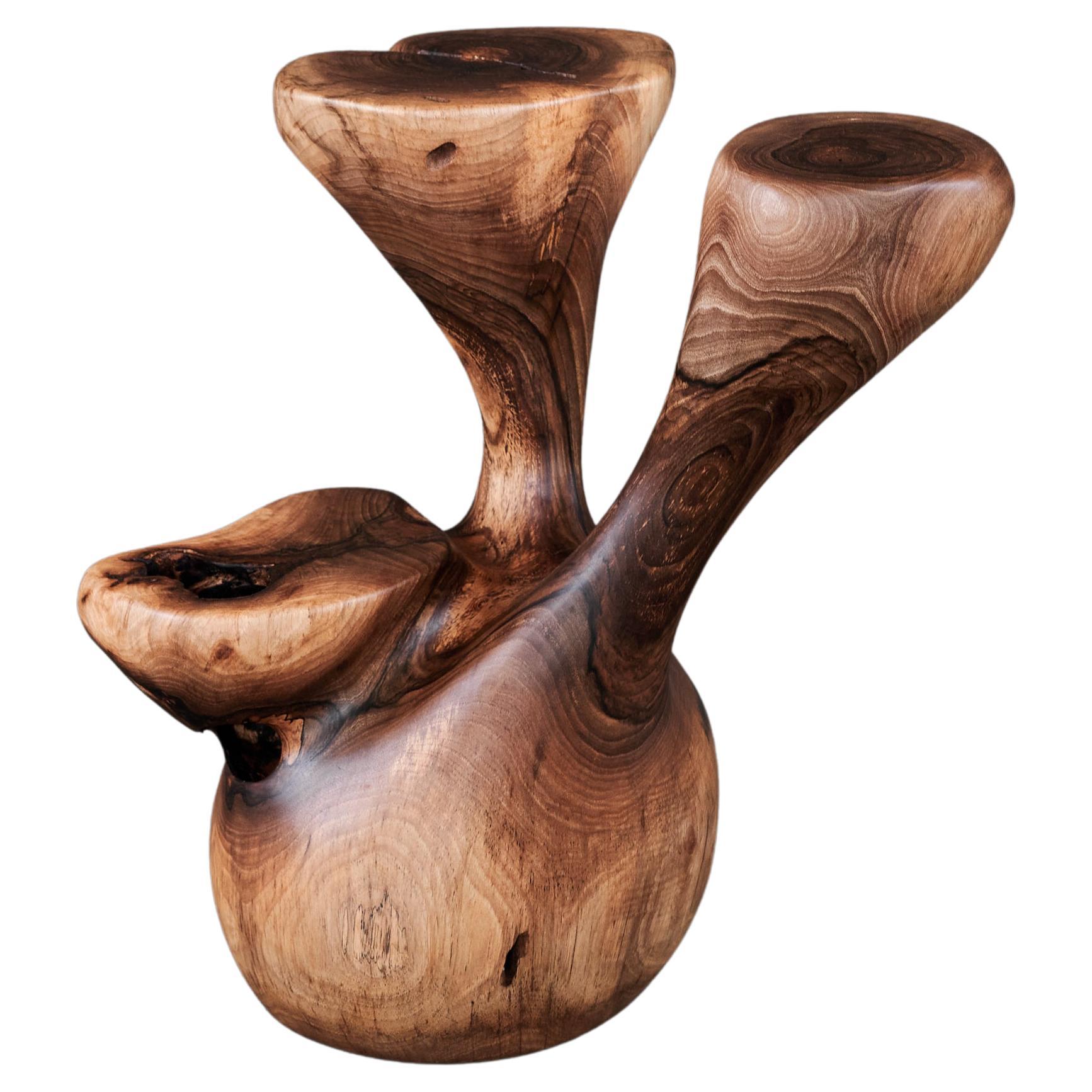 Solid Wood Sculptural Side Table, Original Contemporary Design, Logniture For Sale