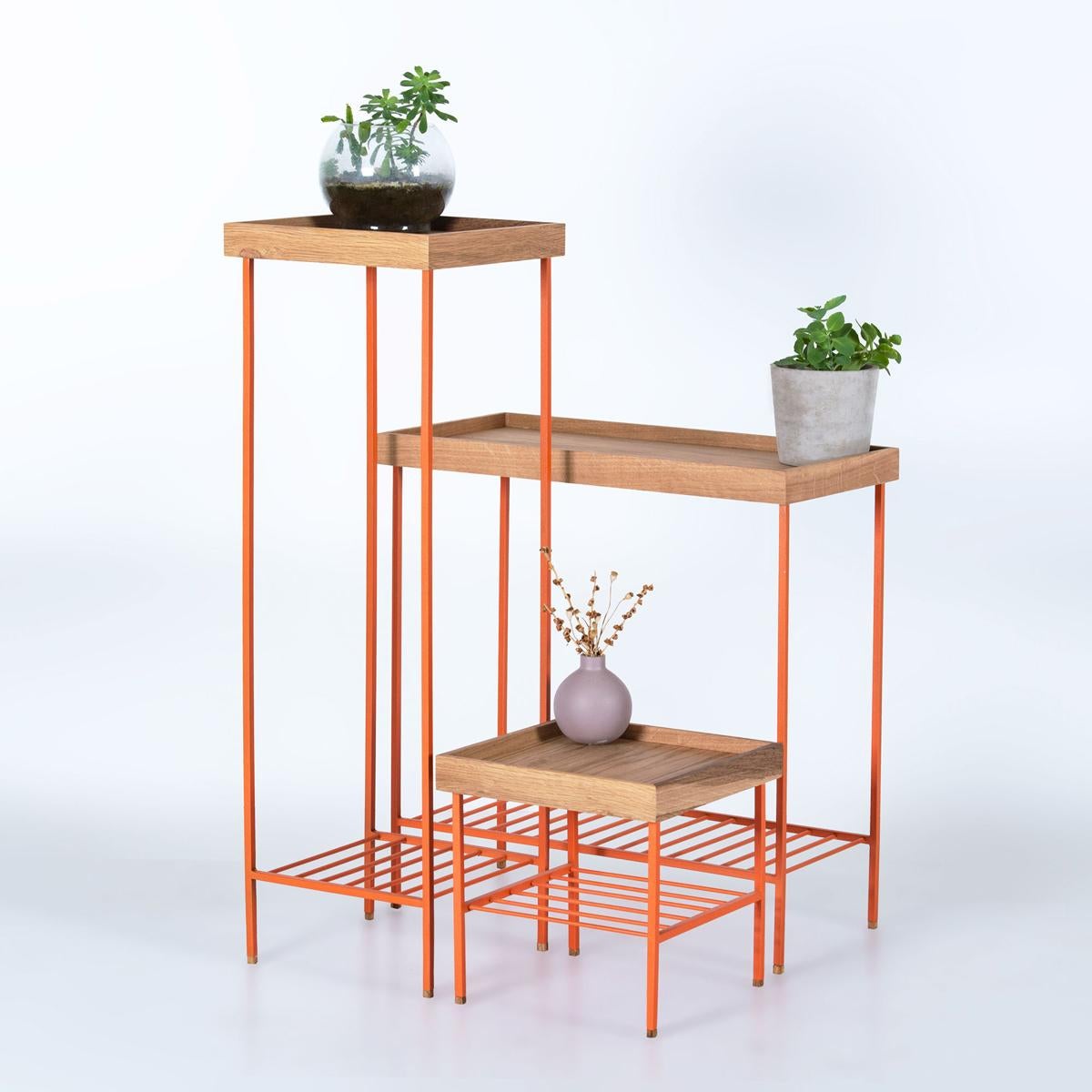 Il set tavolino/portapiante in legno massiccio della serie EDGE offre una miscela armoniosa di artigianato naturale e design moderno. Realizzato a mano in rovere massiccio al 100%, ogni tavolo del set presenta venature e texture del legno uniche,