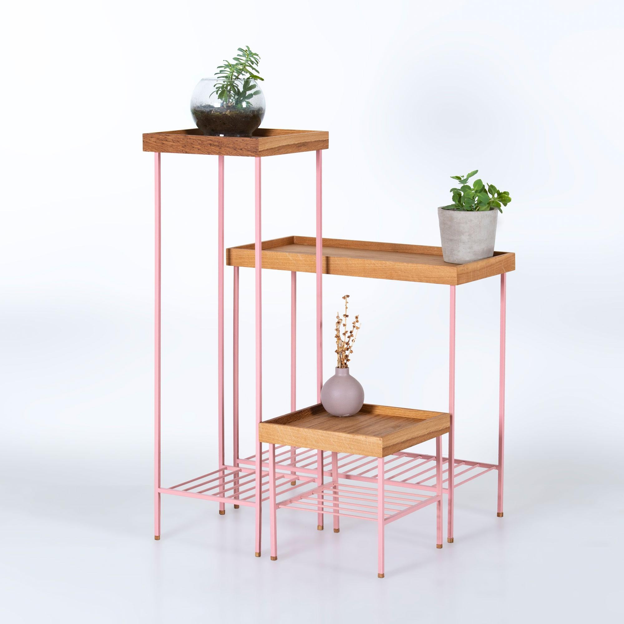 L'ensemble table d'appoint et porte-plantes en chêne massif, moderne et élégant, de la Collection Eleg S est une collection de meubles unique offrant des solutions polyvalentes pour les espaces de vie contemporains. Façonné par la perspective