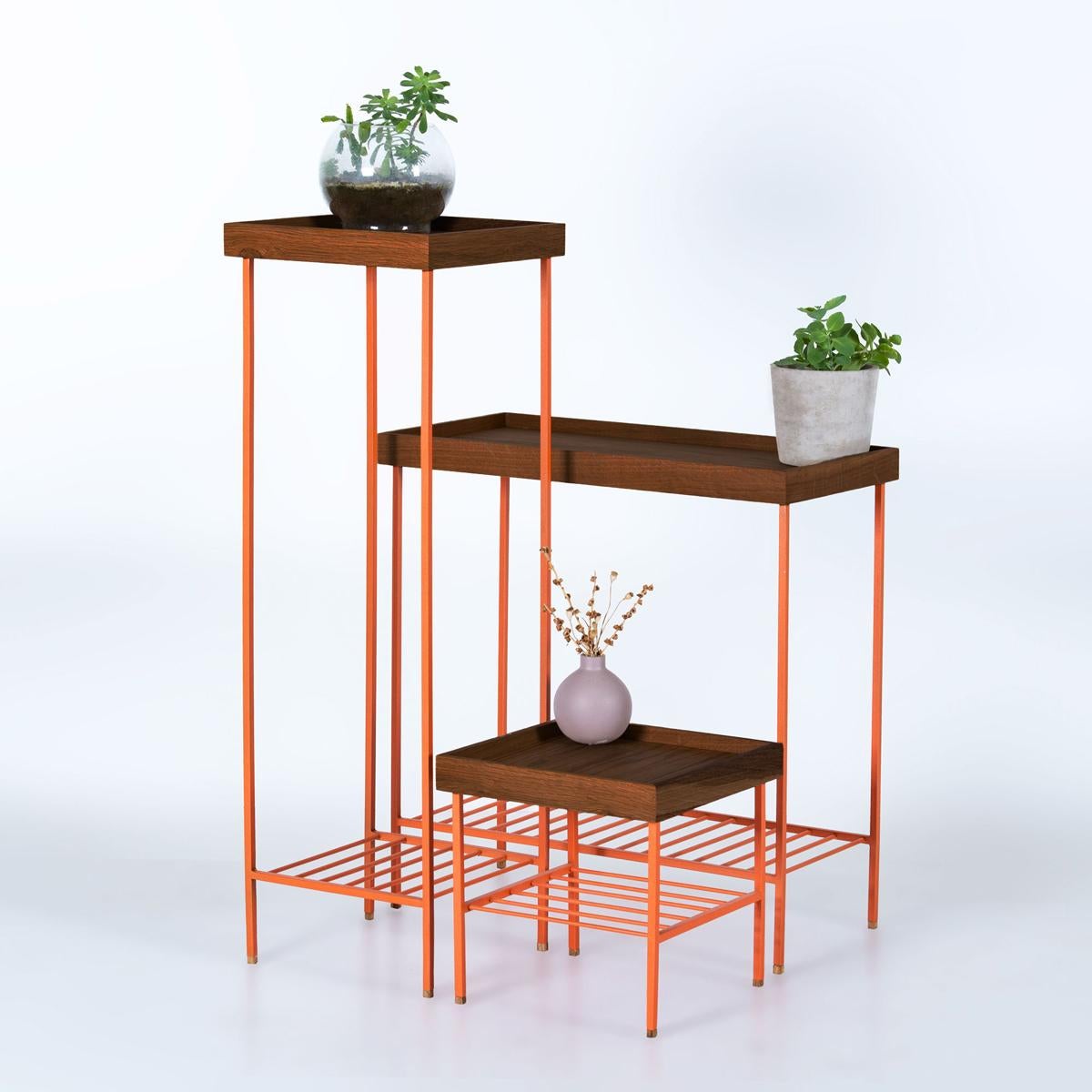 L'ensemble table d'appoint et porte-plantes en chêne massif, moderne et élégant, de la Collection Eleg S est une collection de meubles unique offrant des solutions polyvalentes pour les espaces de vie contemporains. Façonné par la perspective