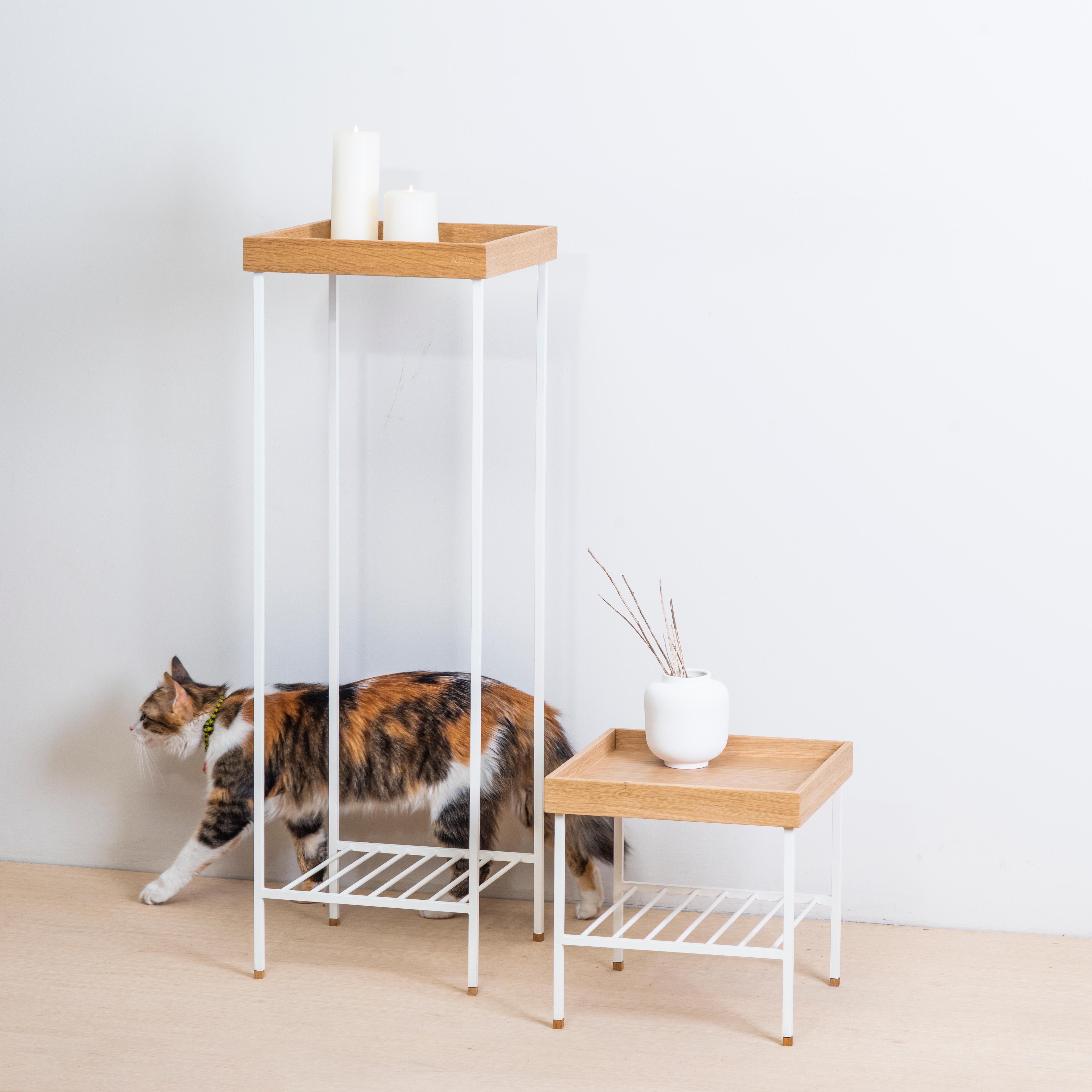 Massivholz Beistelltisch / Plant Stand - EDGE (Moderne) im Angebot