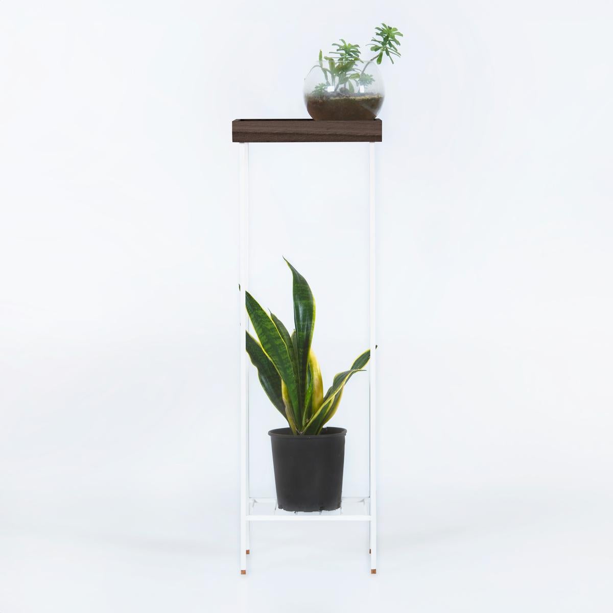 Massivholz Beistelltisch / Plant Stand - EDGE (Türkisch) im Angebot