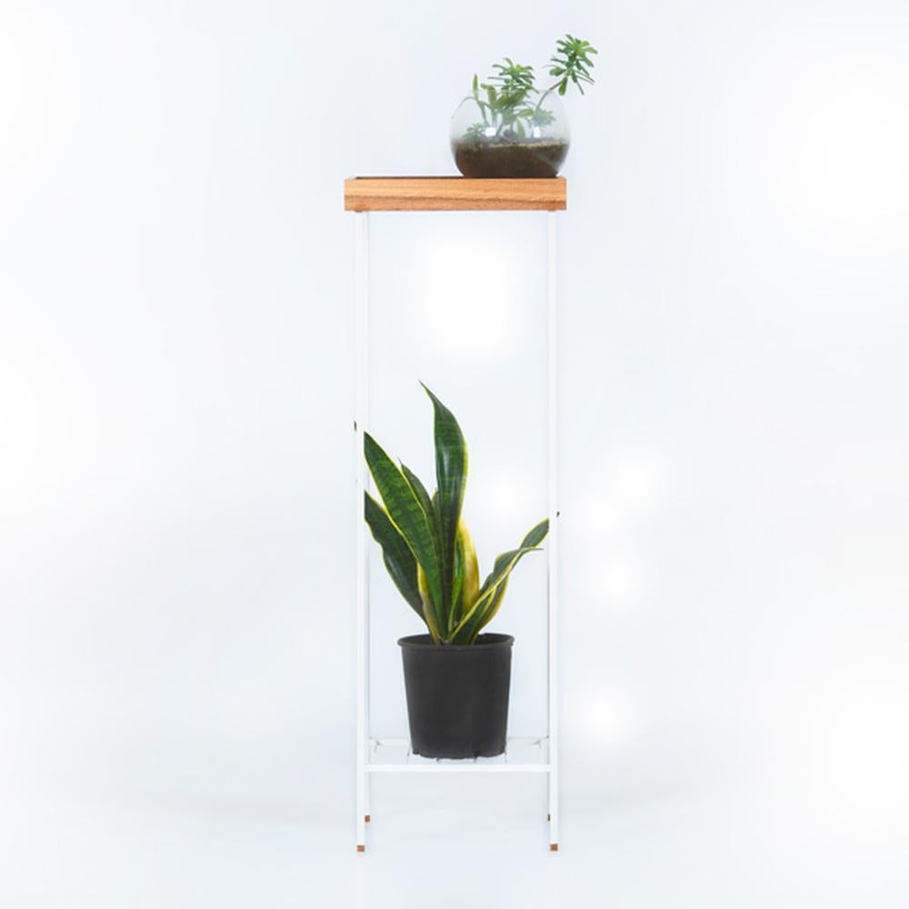 Massivholz Beistelltisch / Plant Stand - EDGE (Handgefertigt) im Angebot