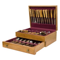 Solingen Germany Vintage Horn and Steel Flatware Set in Wooden Box