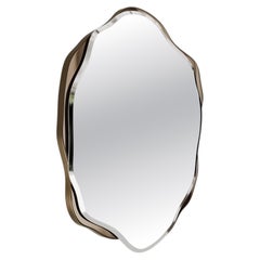 Solis Mirror with Metallic Frame