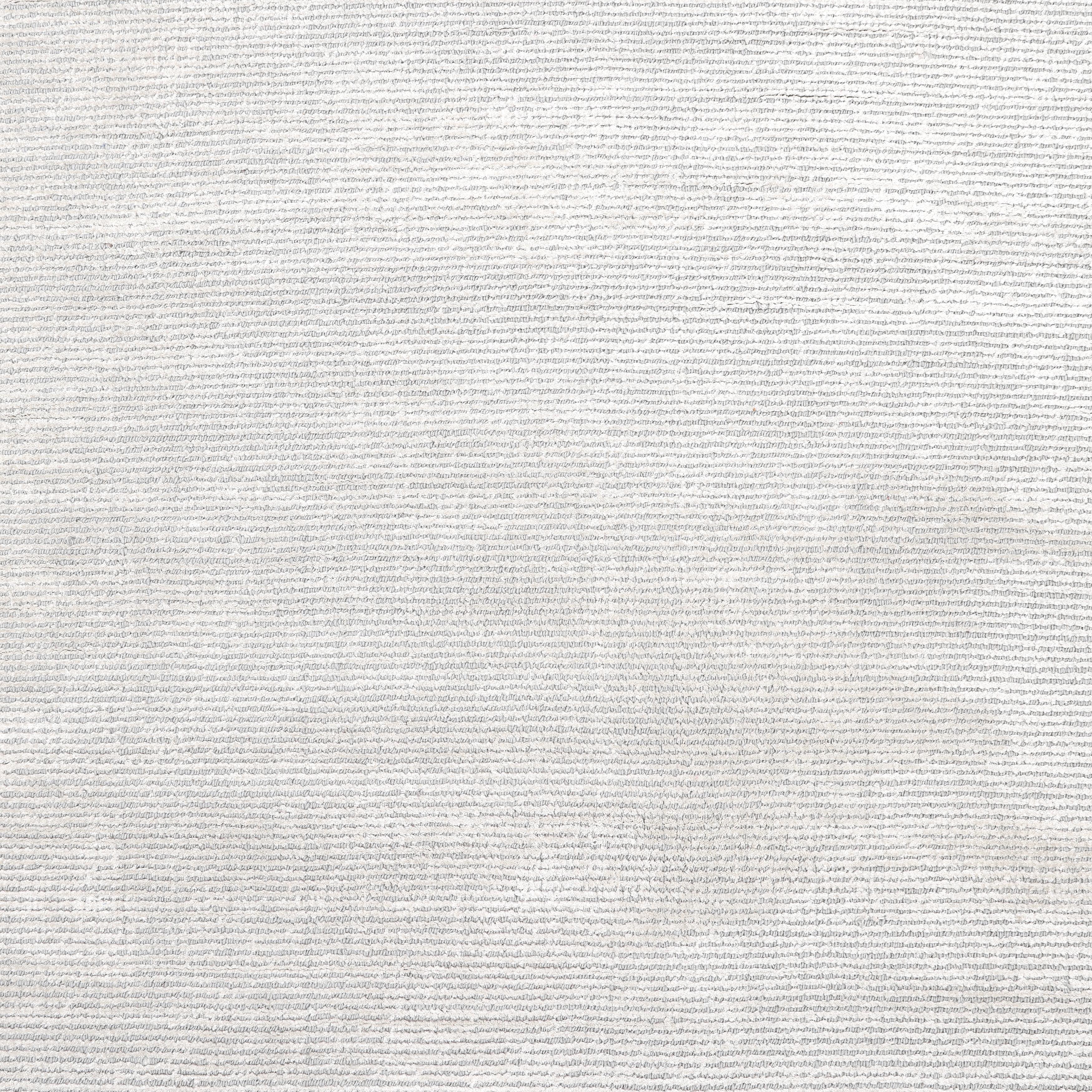 Indiano Tappeto d'area grigio Made Solid Contemporary 10' 0