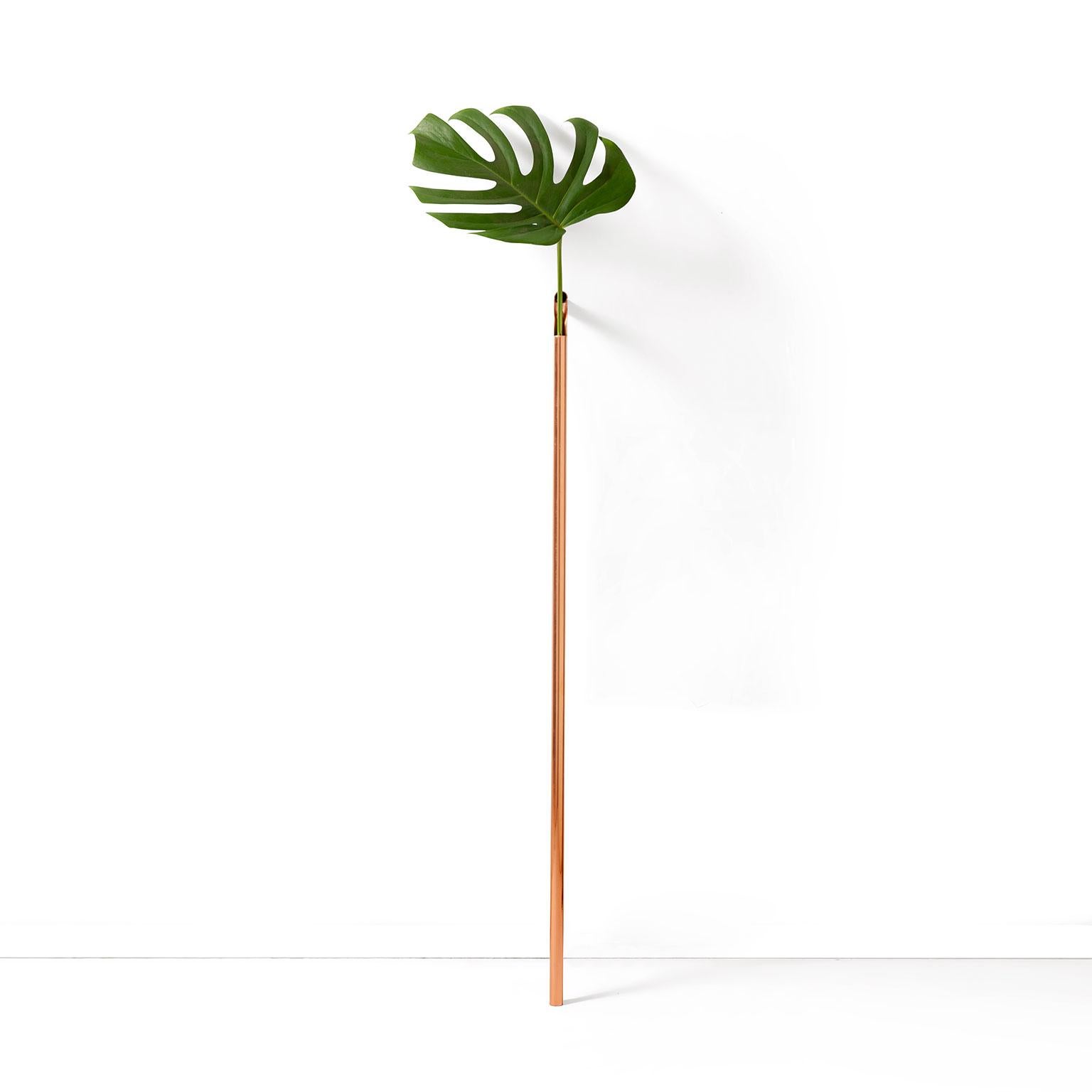 Solo vase proposes an unconventional and delicate way of bringing nature into the house. The slim metallic tube holds a single leaf or flower, mimetizing the continuation of the stems. The detail is made by a cut in the curve of the tube – inspired