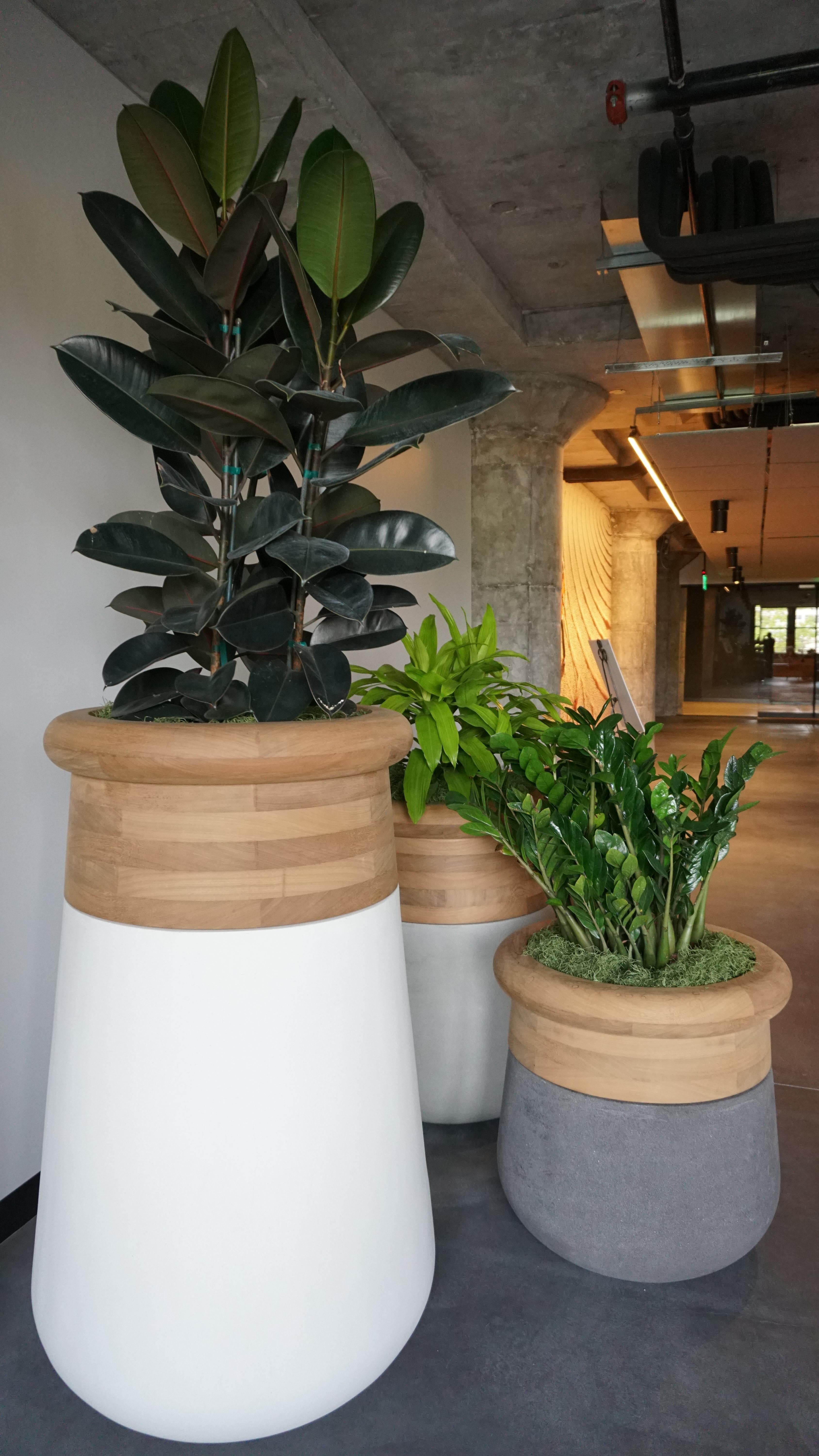 Jardinera mediana de madera aceitada y piedra blanca Soma de Indigenus
Diseñado por Laurie Wiid van Heerden
Dimensiones: Ø 73,3 x A 100 cm.
Materiales: Madera y piedra.
Peso: 75 kg.

Disponible en madera natural/aceitada o piedra. Hay disponibles