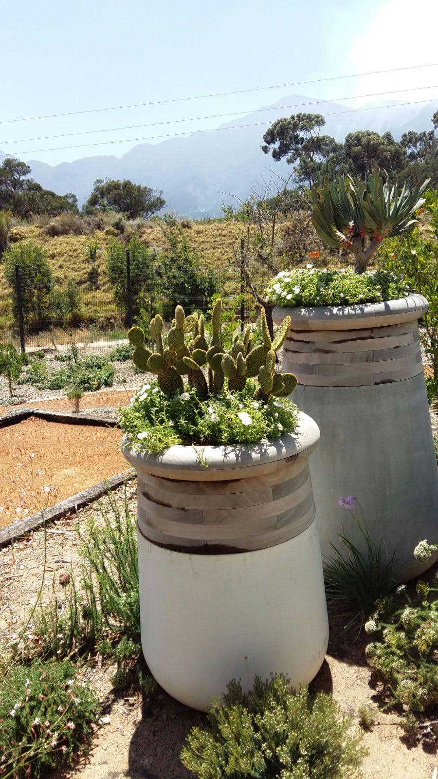 Jardinera mediana de madera aceitada y piedra blanca Soma de Indigenus en venta 1
