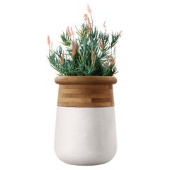 Jardinière moyenne Soma en bois huilé et pierre blanche d'Ingénus