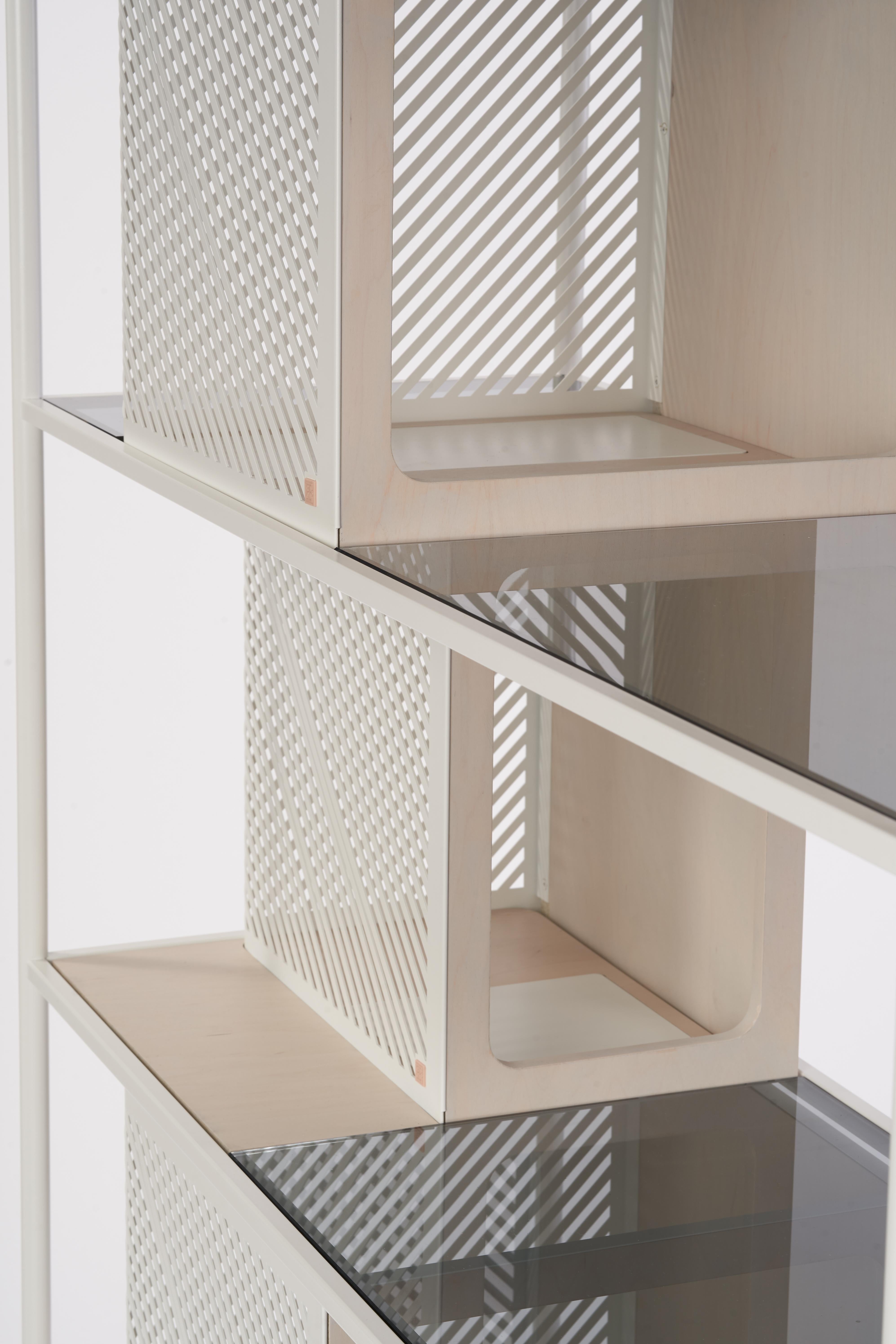 Canadian Soma Shelf with Grey-Tinted Glass, Lower Storage and Powder Coated Frame For Sale